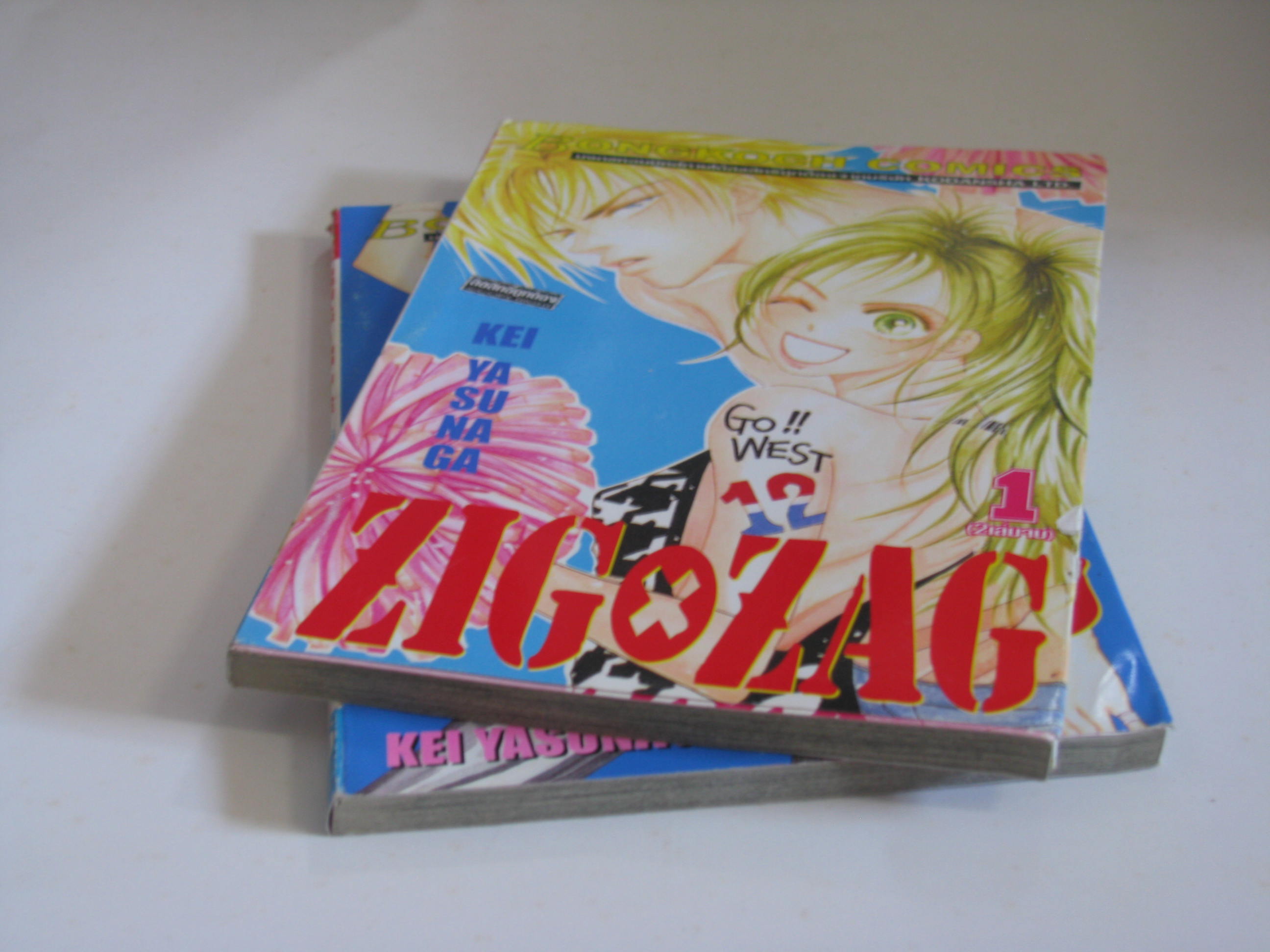ZIG x ZAG 2 เล่มจบชุด Kei Yasunaga เขียน ***สินค้าหมด***