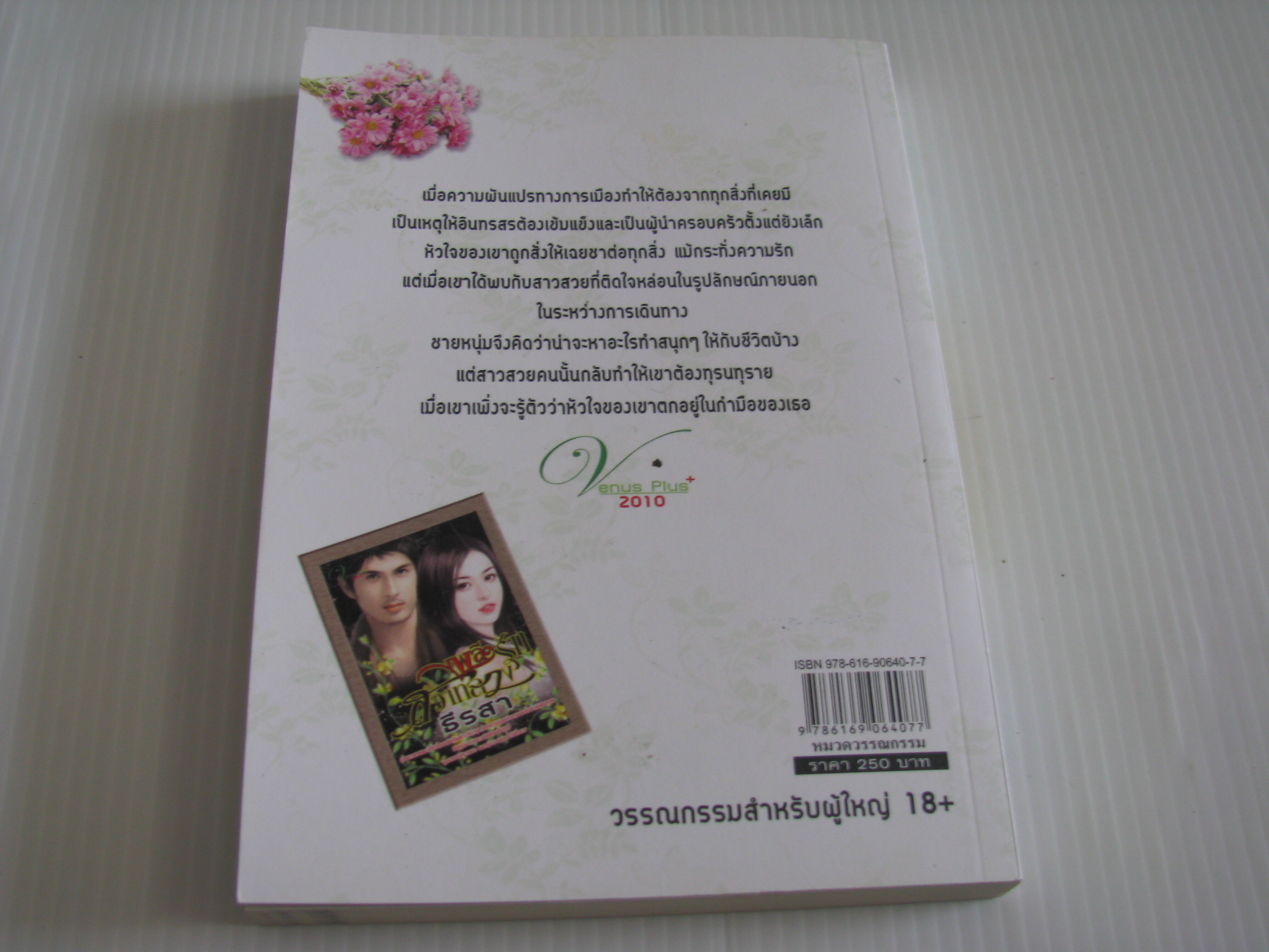 เพลิงรักสวาทลวง ธีรสา เขียน