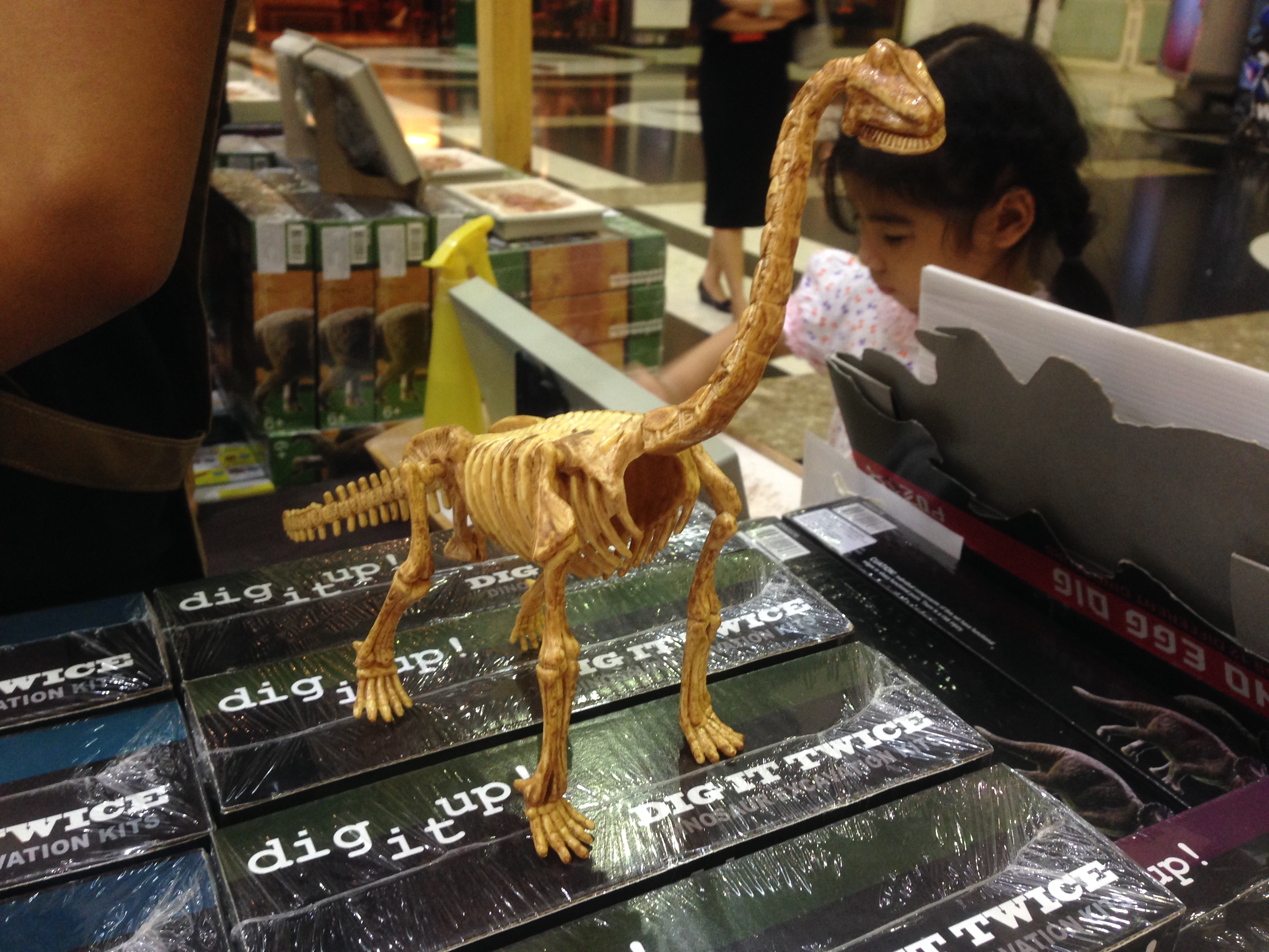 ชุดขุดฟอสซิลDig it Twice (แบบเล่นสองรอบ ขุดแล้วนำมาประกอบเป็นโมเดลได้)