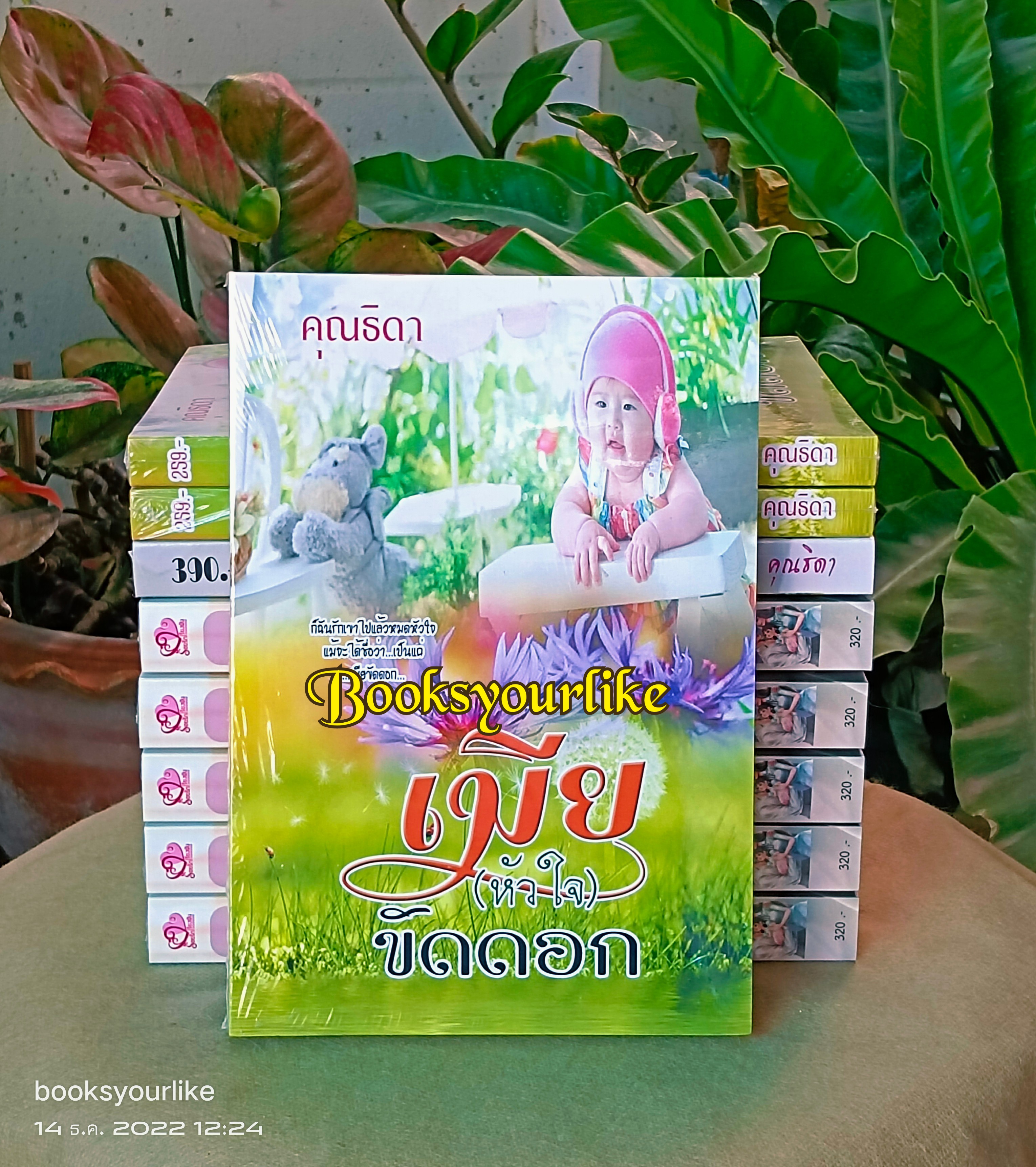 เมียหัวใจขัดดอก,ผู้แต่ง,คุณธิดา,นิยายรักทำมือ สนุกแนะนำค่ะ