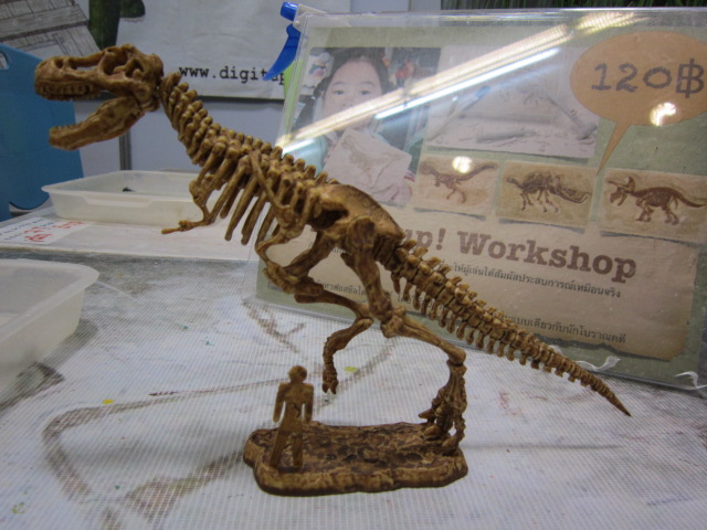 ชุดขุดฟอสซิลDig it Twice (แบบเล่นสองรอบ ขุดแล้วนำมาประกอบเป็นโมเดลได้)