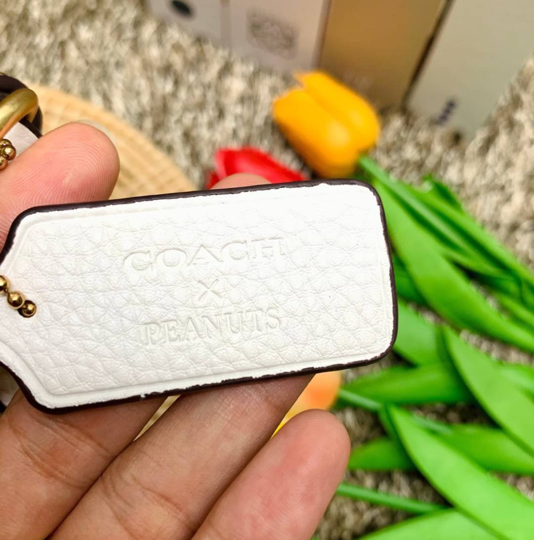COACH C4113 - COACH X PEANUTS ADDIE CROSSBODY IN SIGNATURE CANVAS WITH VARSITY PATCHES พร้อมส่งทันที่! ลิมิเตทจาก Coach x Peanuts ที่รังสรรค์ลวดลายการ์ตูนลงบนกระเป๋าได้ซุกซนน่ารักดีมากๆค่ะ