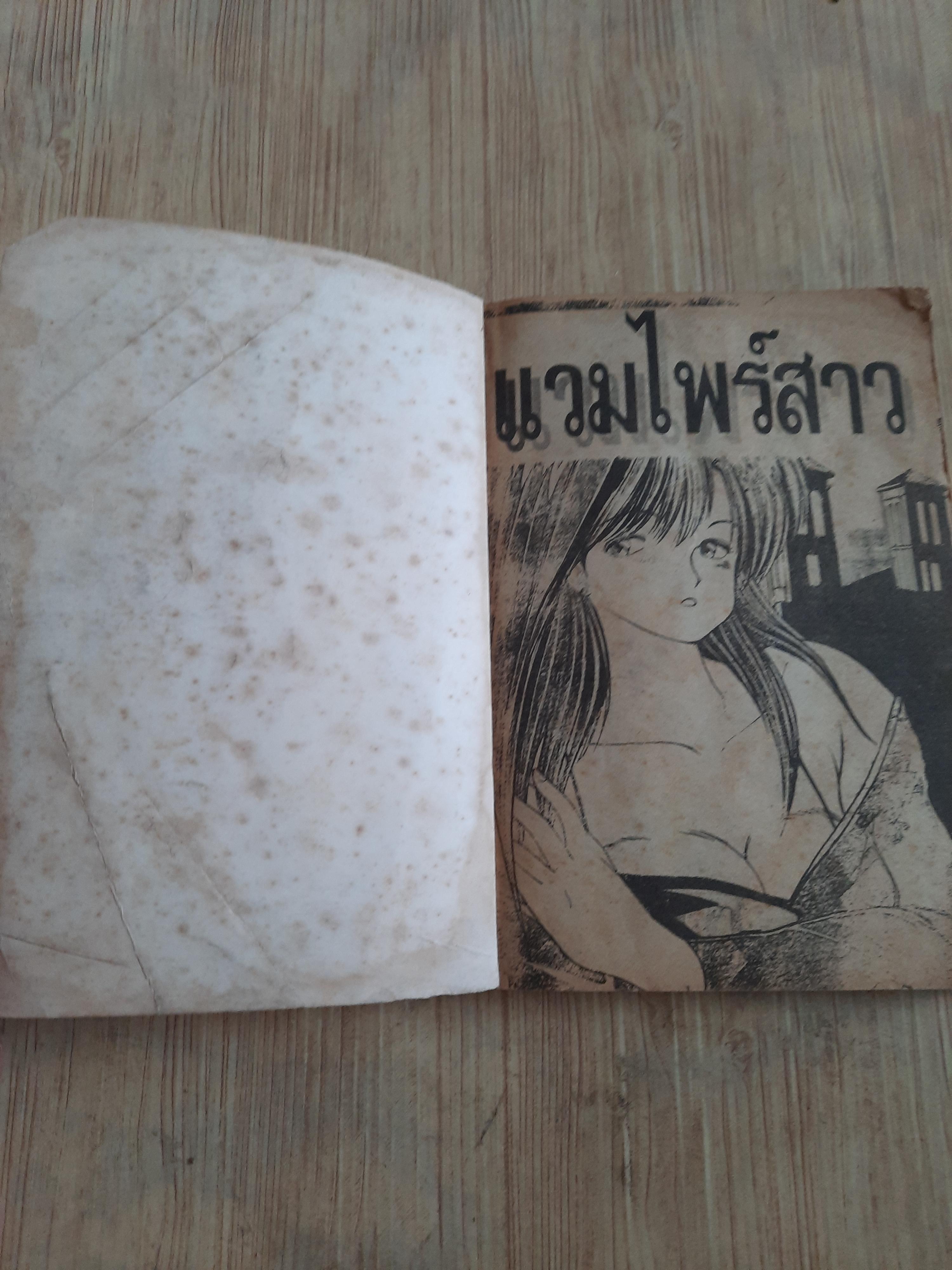 แวมไพร์สาว เล่มเดียวจบ