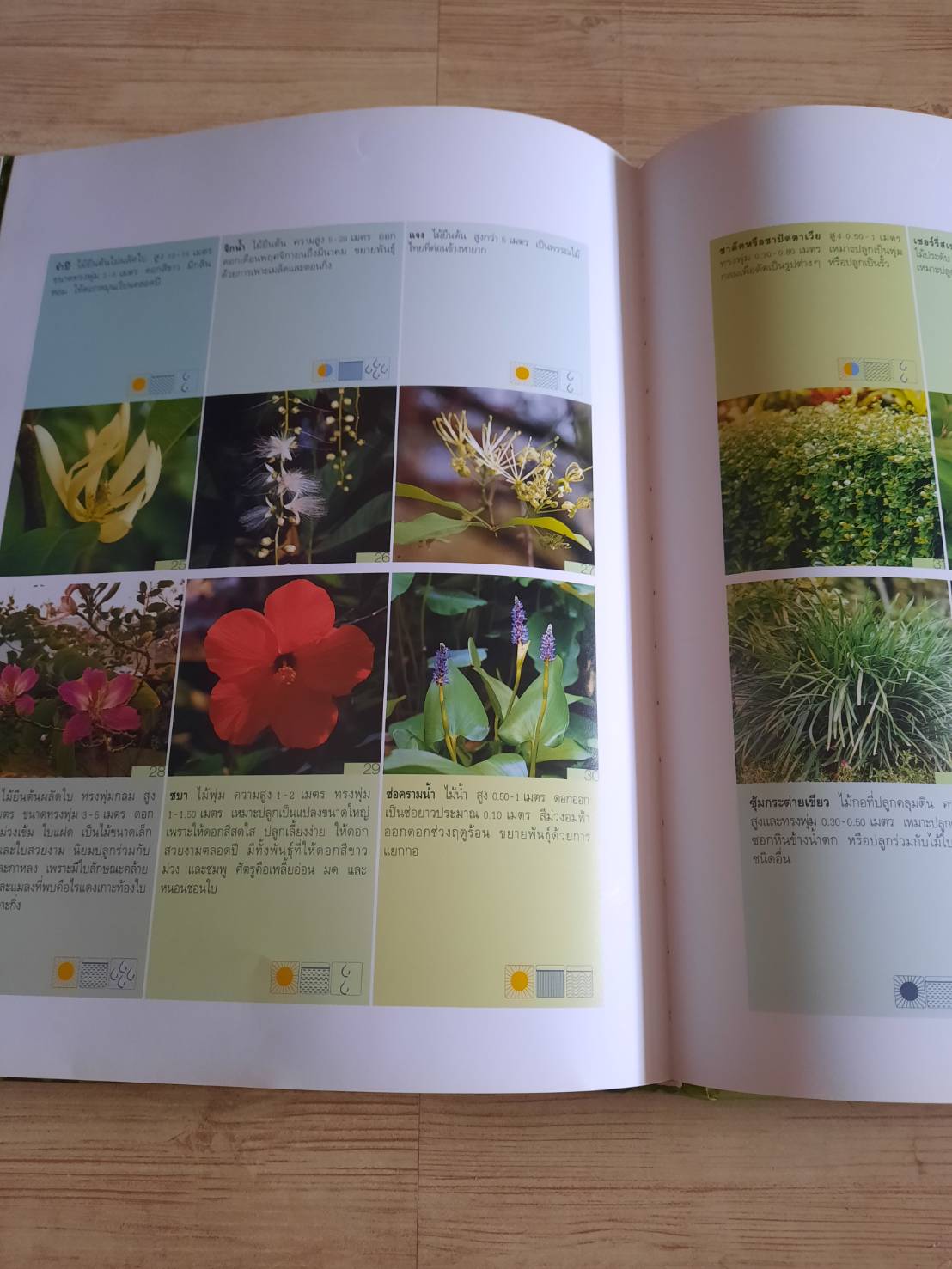 สวนในบ้าน เล่ม 15 30 มุมสวน พิมพ์ครั้งที่ 5 โดย กองบรรณาธิการสำนักพิมพ์บ้านและสวน