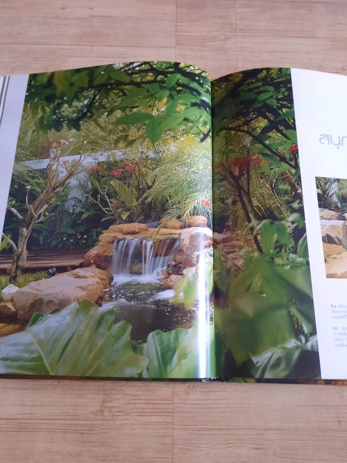 สวนในบ้าน เล่ม 12 สวนขนาดเล็ก พิมพ์ครั้งที่ 7 โดย กองบรรณาธิการสำนักพิมพ์บ้านและสวน