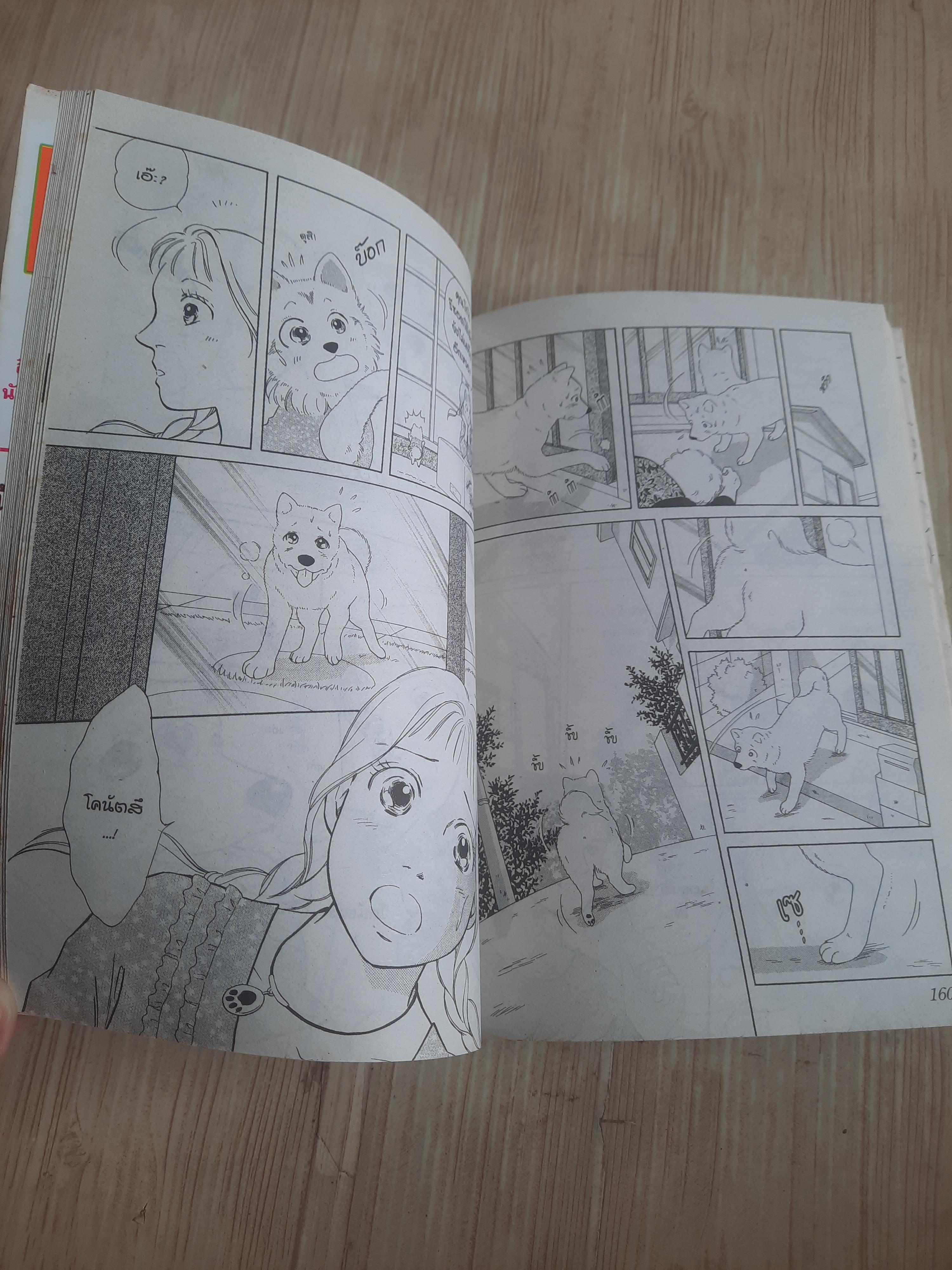 น้องหมา VS อาจารย์โฮ่ง เล่มเดียวจบ Asano Masumi เขียน