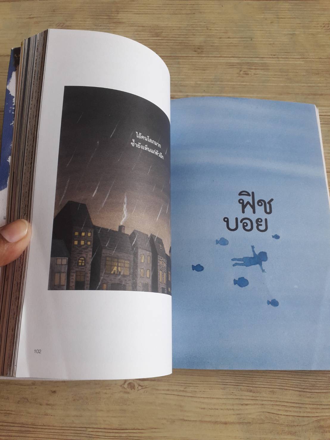 เดอะ สตอรี ออฟ ดรีม (The Story of Dream) Enzo เรื่องและรูป อนุรักษ์ กิจไพบูลทวี แปล