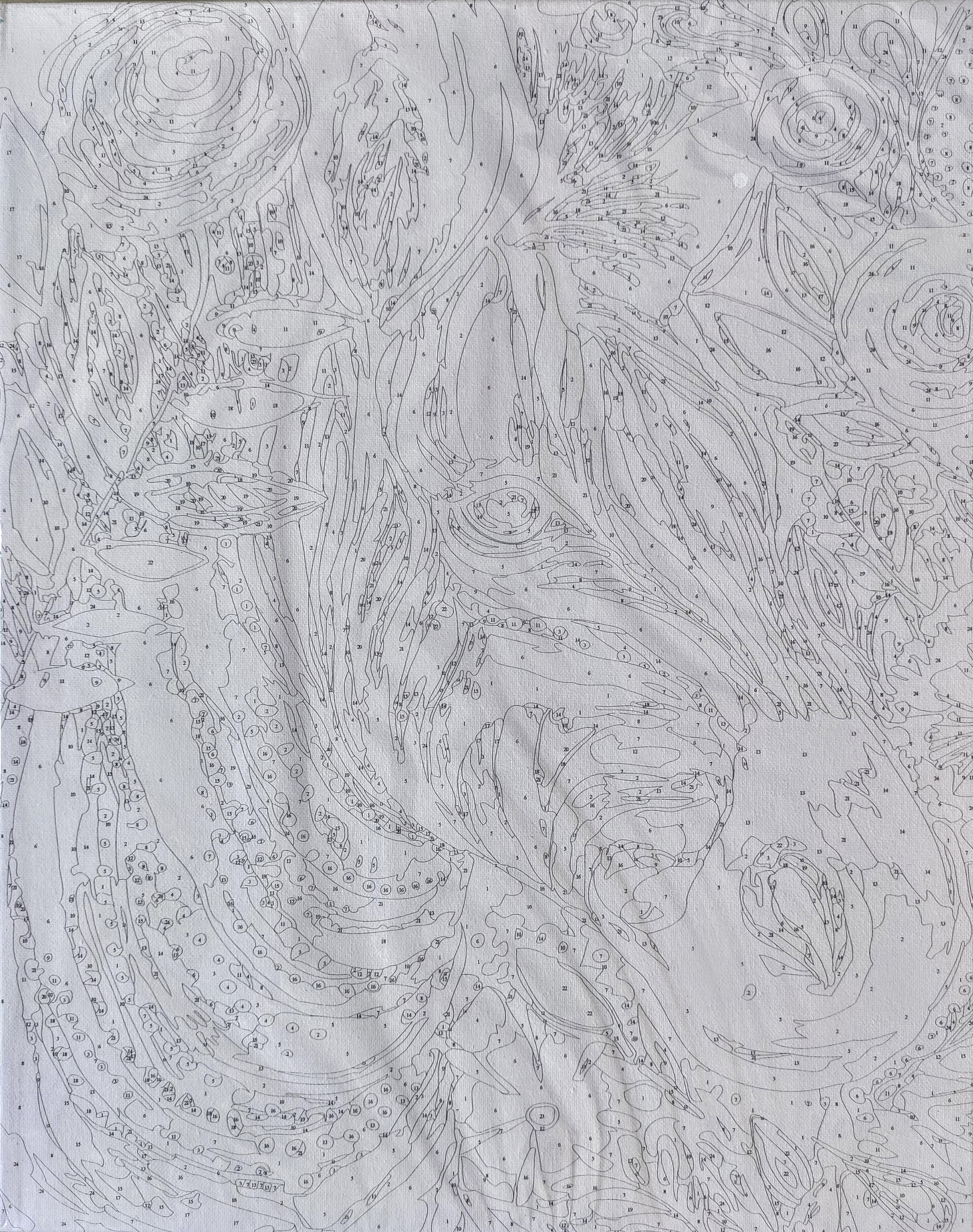 RG9482 ภาพระบายสีตามตัวเลข "ม้าลายหลากสี"