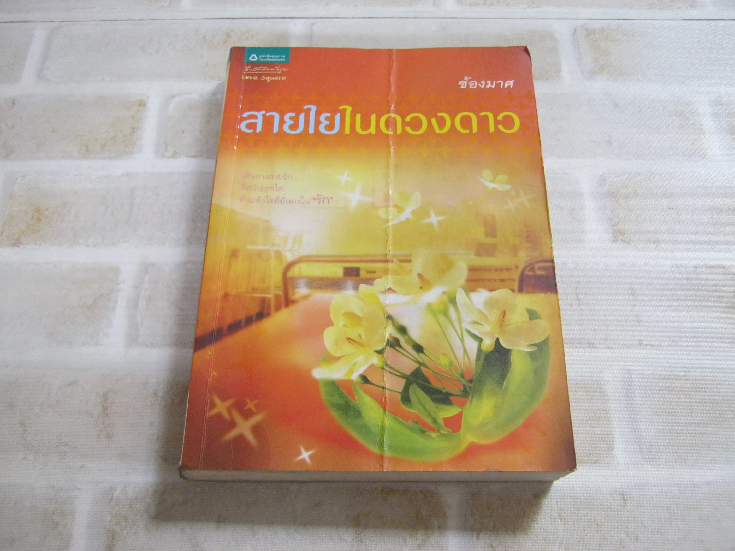 สายในในดวงดาว ช้องมาศ เขียน