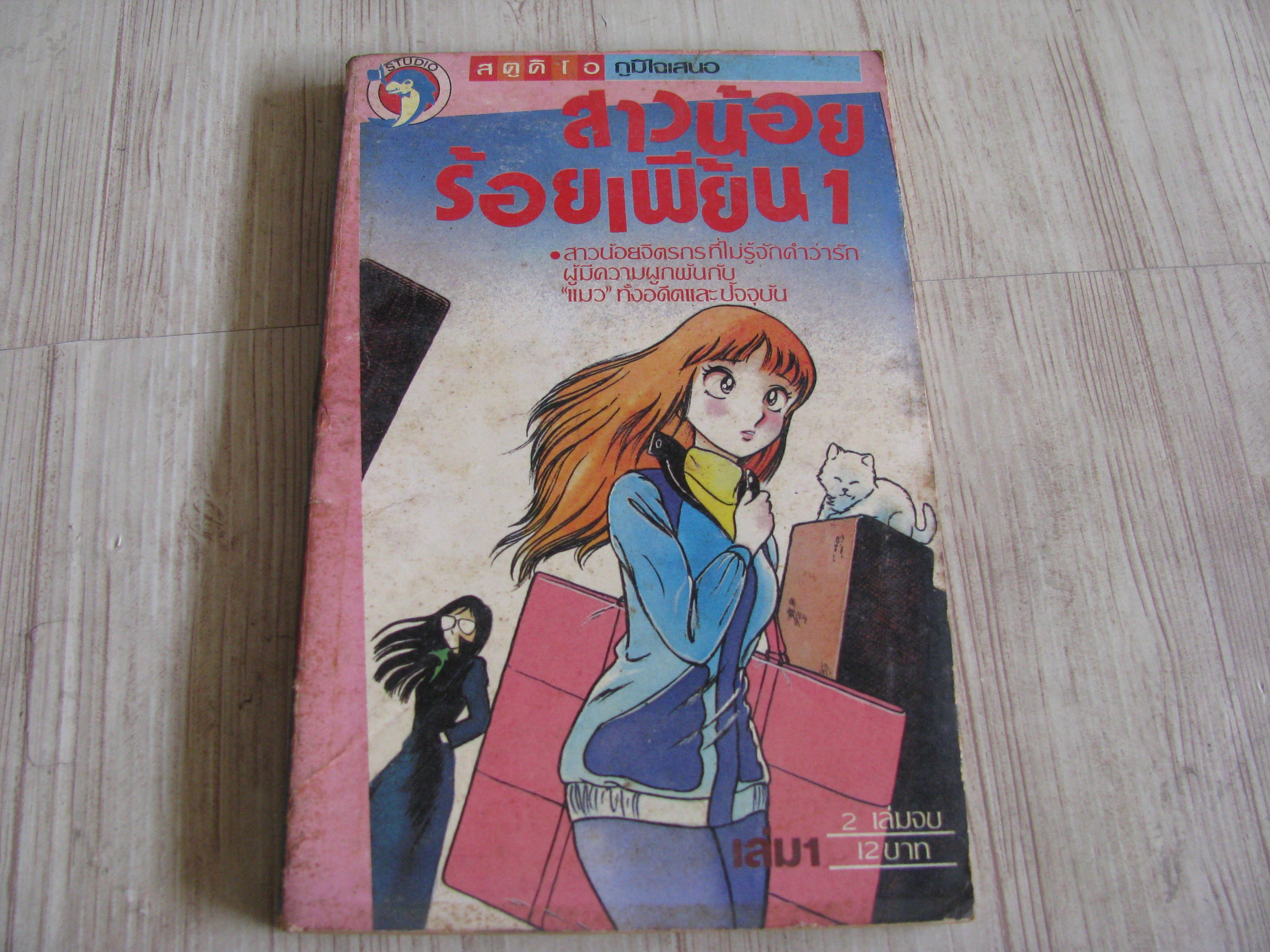 สาวน้อยร้อยเพี้ยน เล่ม 1 (2 เล่มจบ)