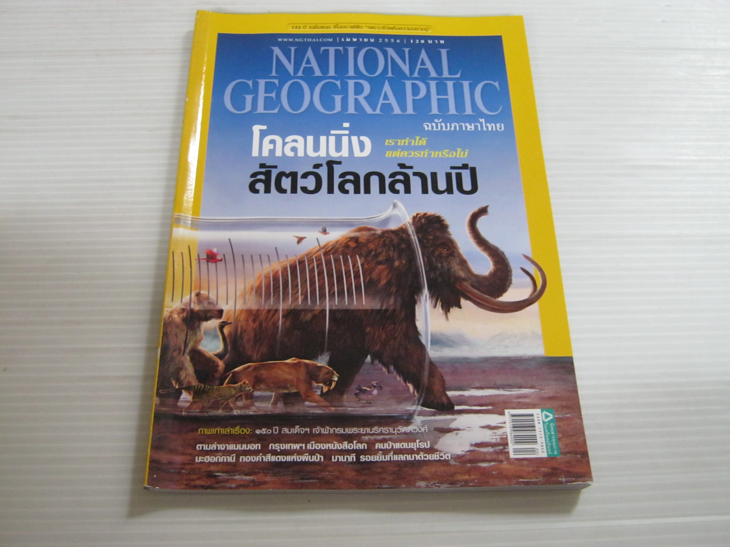 NATIONAL GEOGRAPHIC ฉบับภาษาไทย เมษายน 2556 โคลนนิ่ง สัตว์โลกล้านปี***สินค้าหมด***