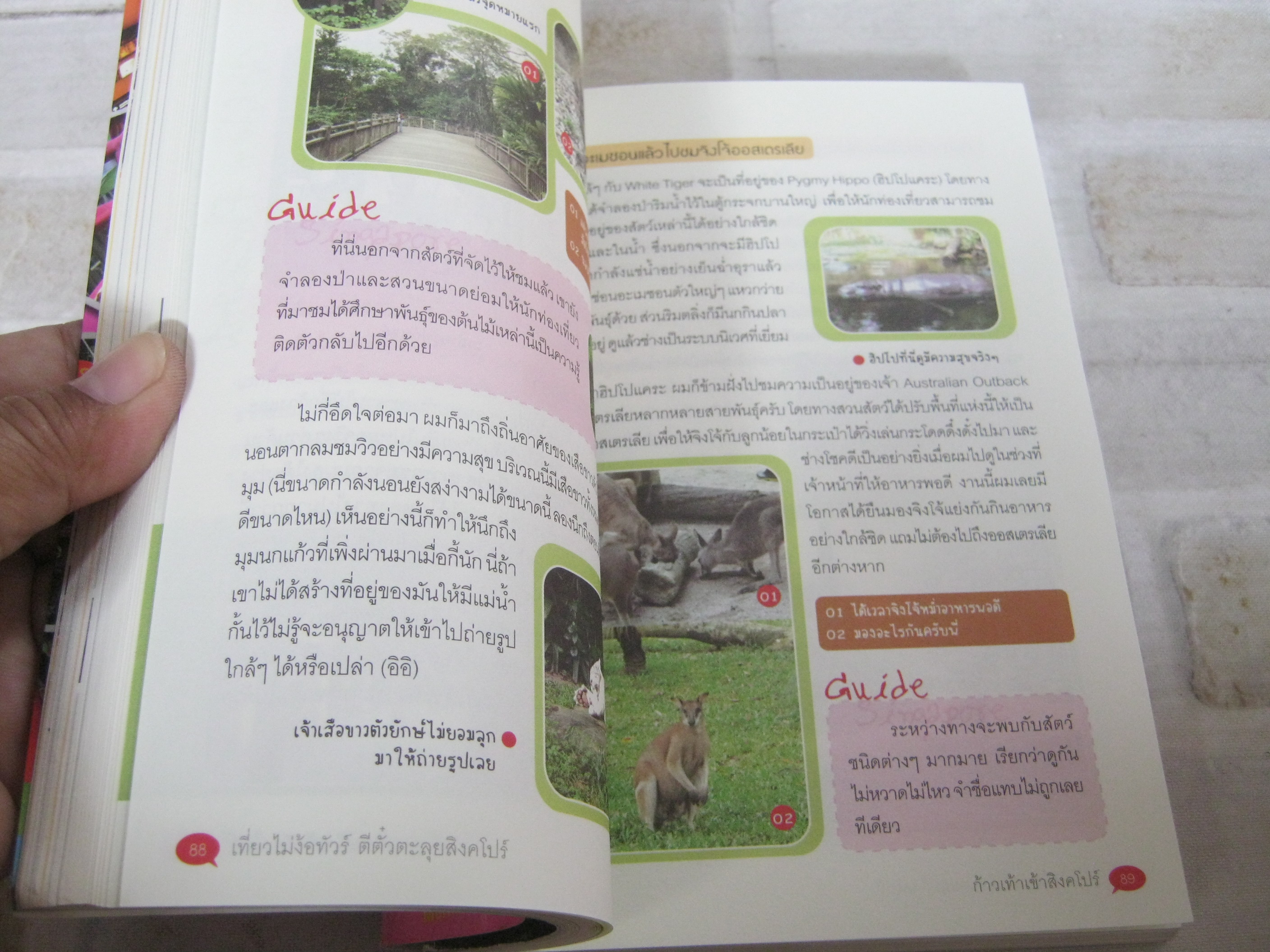 เที่ยวไม่ง้อทัวร์ ตีตั๋วตะลุยสิงคโปร์ โดย ธเนศ แสวงดี