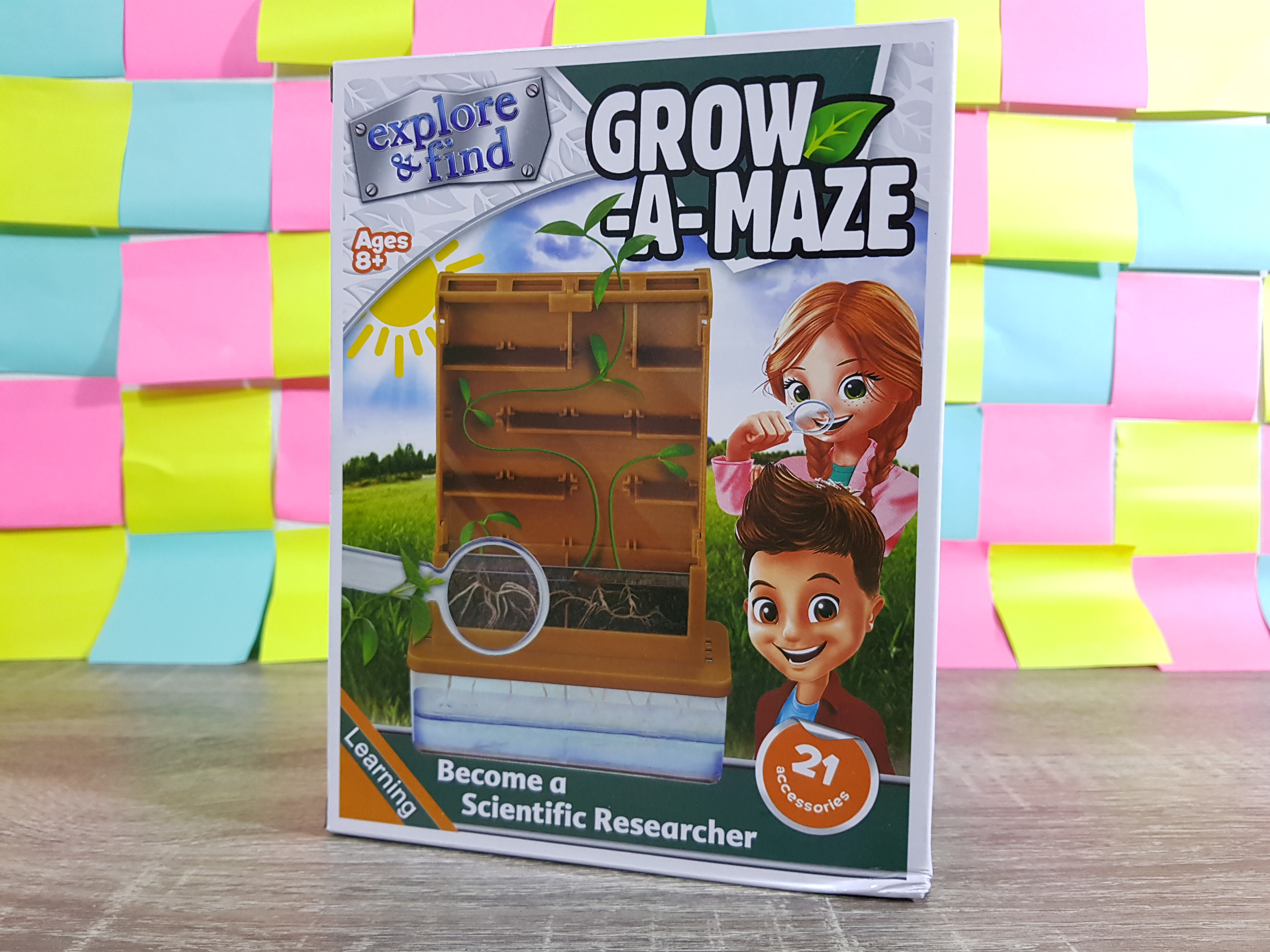 กระถางต้นไม้เขาวงกต(Grow-A-Maze)