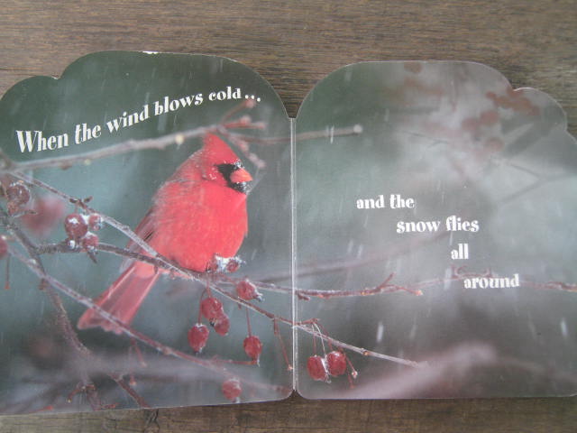 Winter Friends หนังสือเสริมพัฒนาการเด็กด้านภาษามือสอง