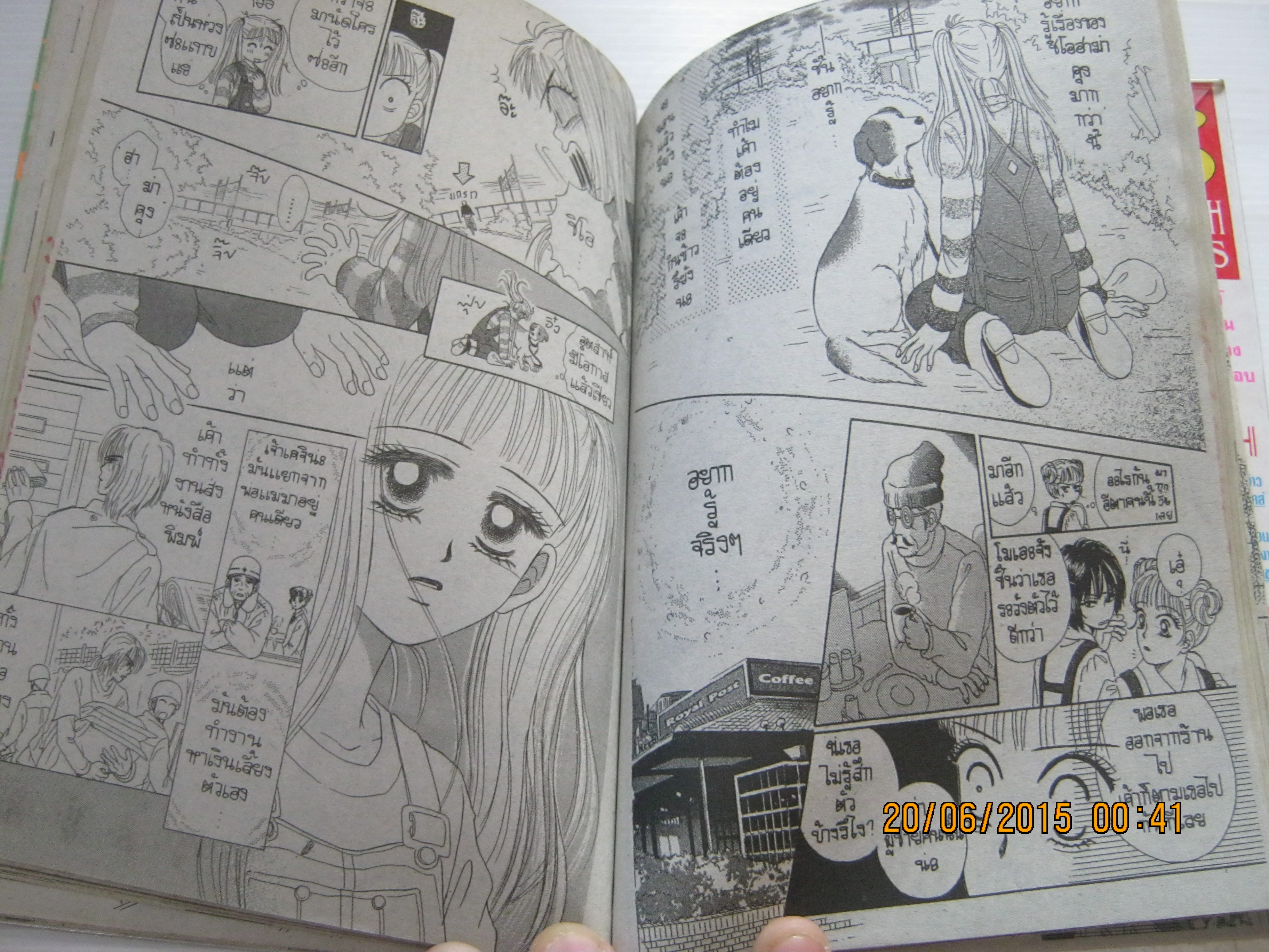 ไม่รักไม่ว่าขอซาส์แล้วกัน เล่มเดียวจบ Saya Miyauchi เขียน