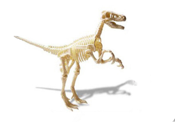 ของเล่นชุดขุดฟอสซิลโครงกระดูกไดโนเสาร์สำหรับเด็ก