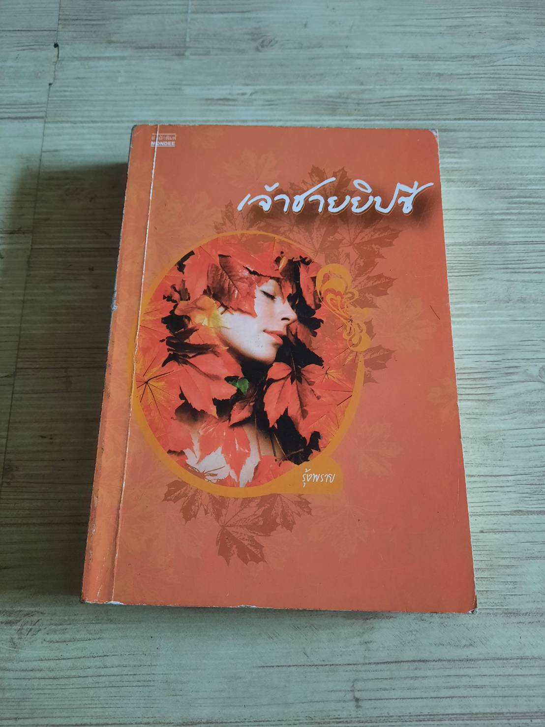 เจ้าชายยิปซี (The Gypsy Prince) รุ้งพราย เขียน