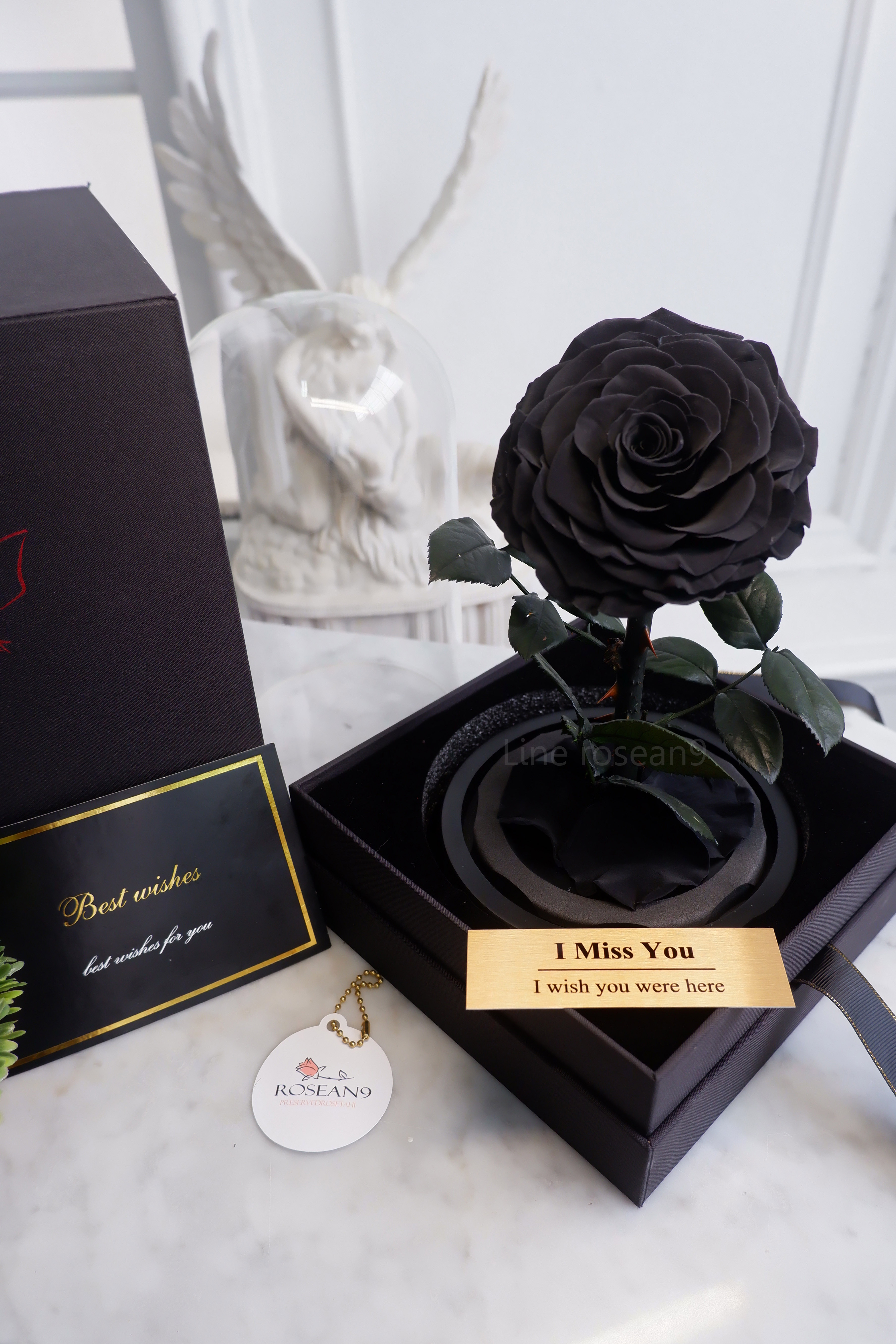 กุหลาบอมตะ กุหลาบในโหลแก้ว กุหลาบดำ กุหลาบโฉมงามกับเจ้าชายอสูร กุหลาบbeauty and the beast