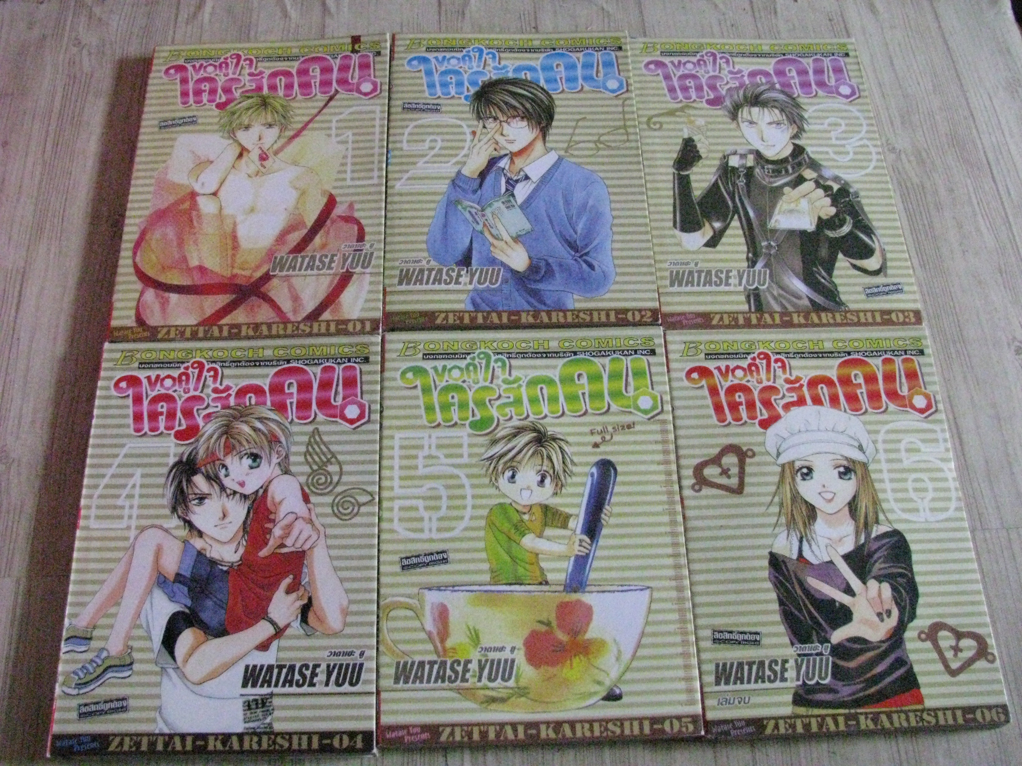 ขอคู่ใจใครสักคน ครบชุด 6 เล่มจบ Watase Yuu เขียน