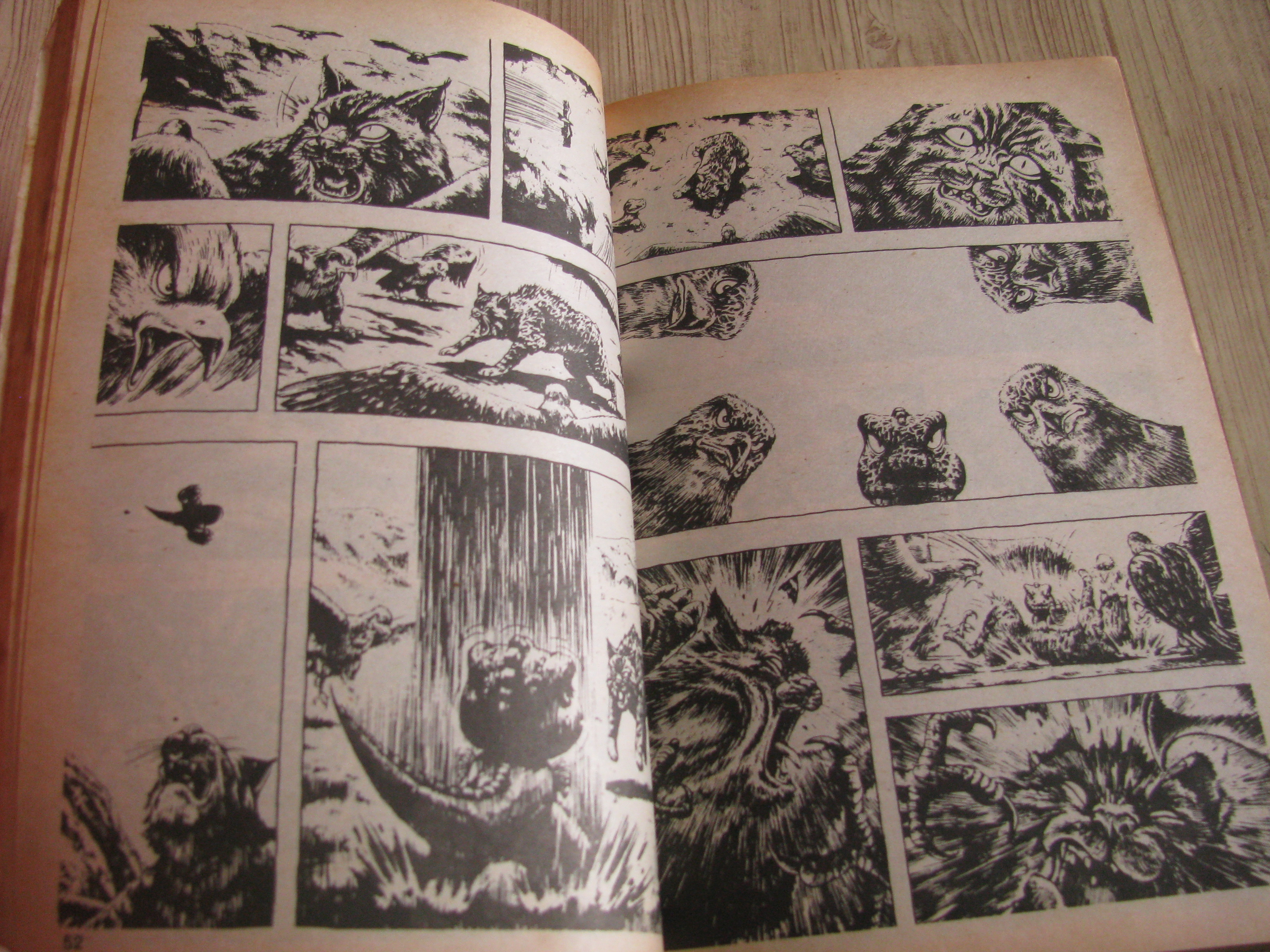 GON ก๊อง เล่มเดียวจบ