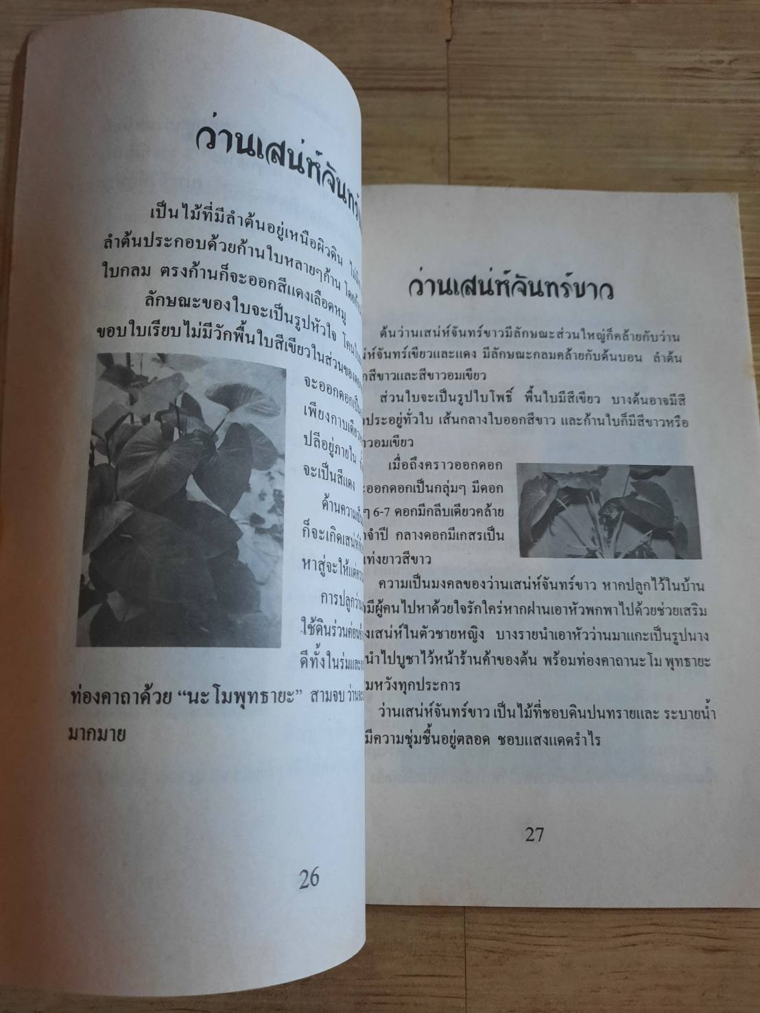 ว่าน ต้นไม้อัศจรรย์ วันชนะ เรียบเรียง