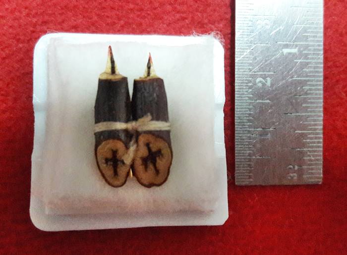 สาริกาไม้กาหลง เมตตามหานิยม มีเสน่ห์ ค้าขายดี ร่ำรวย พร้อมกล่องเดิมของวัดหนอยหอย จ.ราชบุรีค่ะ