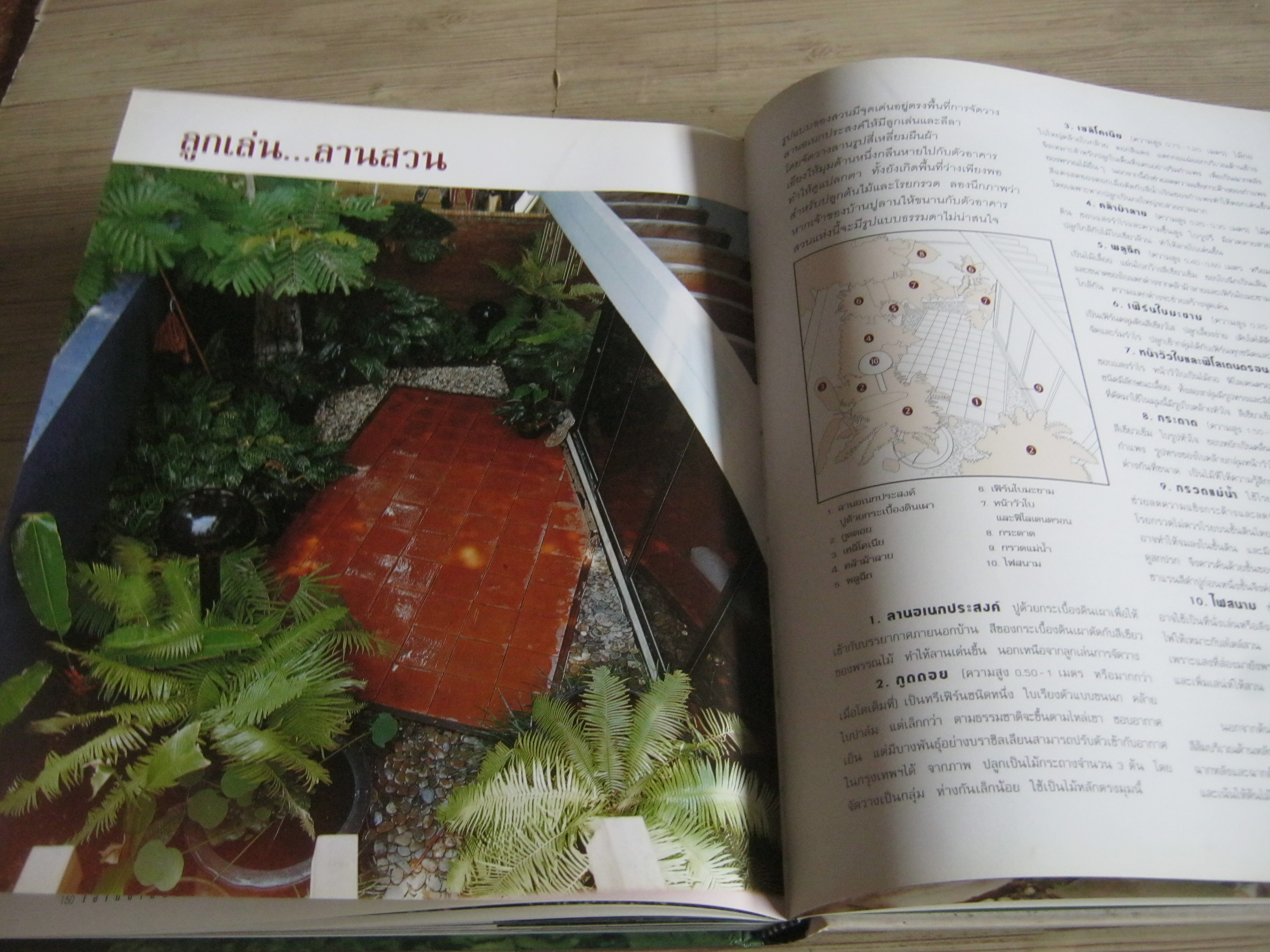 สวนในบ้าน เล่ม 8 ไอเดียในสวน โดย กองบรรณาธิการนิตยสารบ้านและสวน