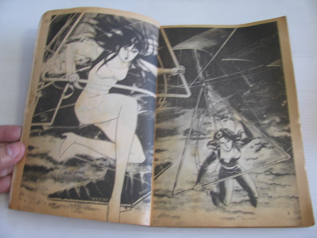 พยัคฆ์สาวแคทอายส์ เล่มเดียวจบ