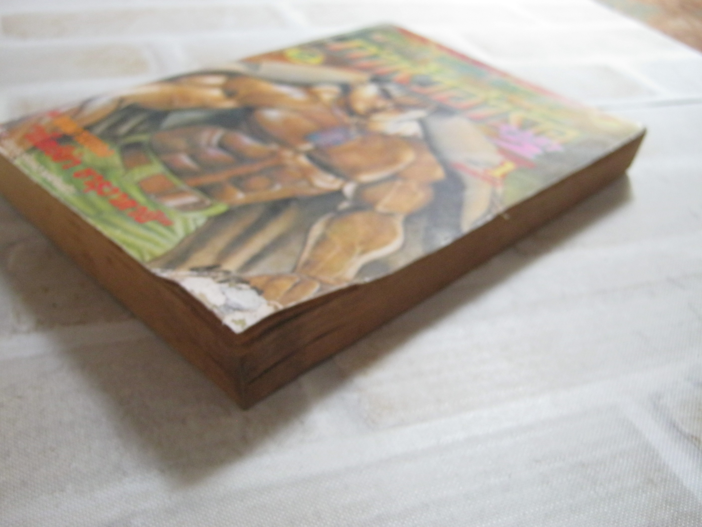 น้กล่าค่าหัวฮาร์ด ภาค 2 เล่ม 1 ( 6 เล่มจบ )