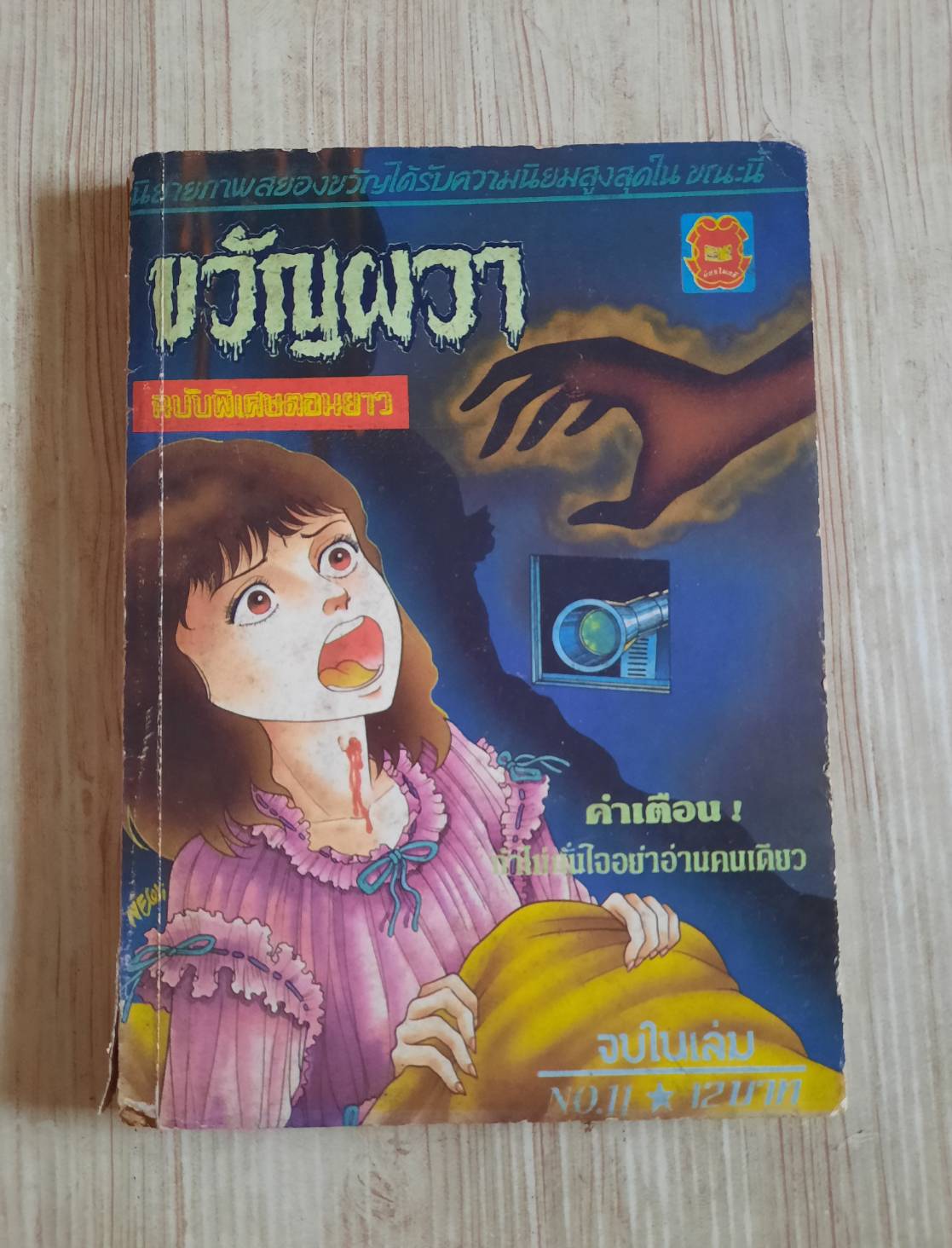 ขวัญผวา เล่ม 11 จบในเล่ม(จองแล้ว***สินค้าหมด***