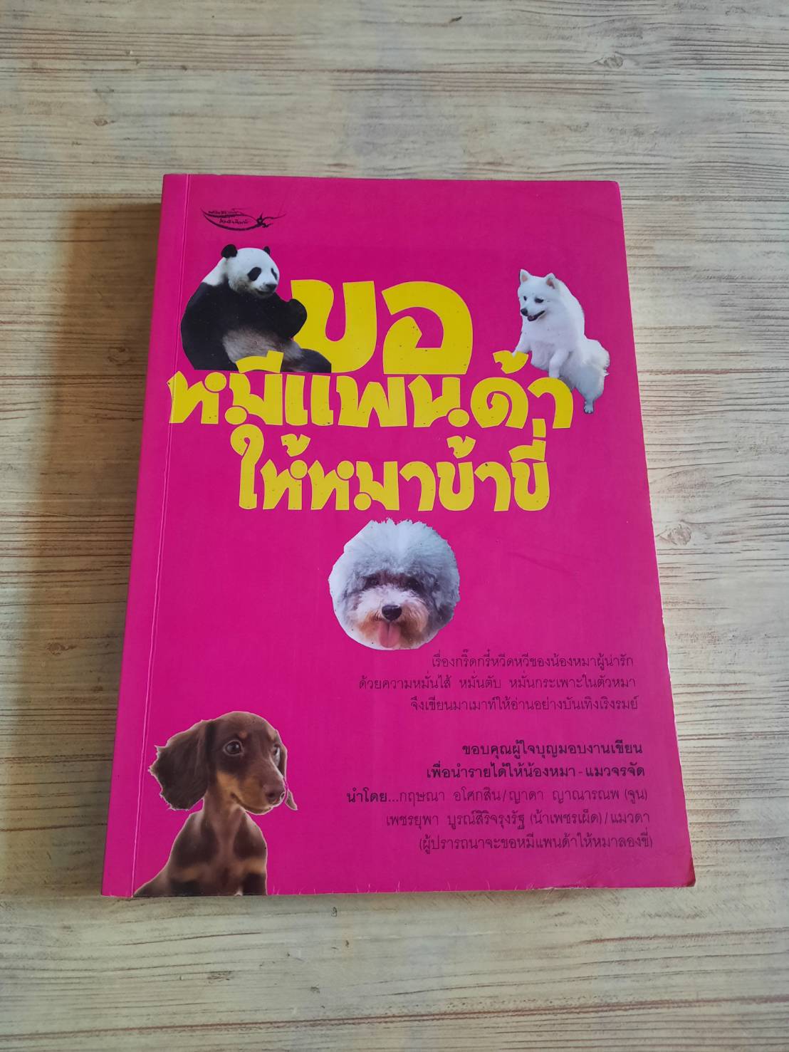 ขอหมีแพนด้าให้หมาข้าขี่ รวมนักเขียน