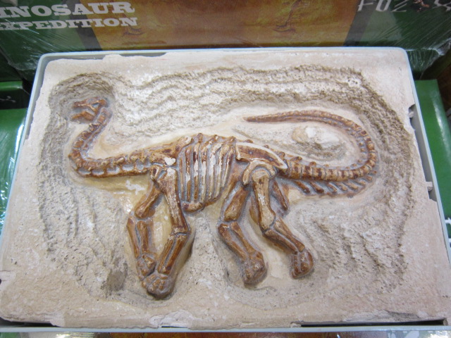 ชุดขุดฟอสซิลไดโนเสาร์(แบบแผ่นฟอสซิลตั้งโชว์) Expedition Excavation Kits