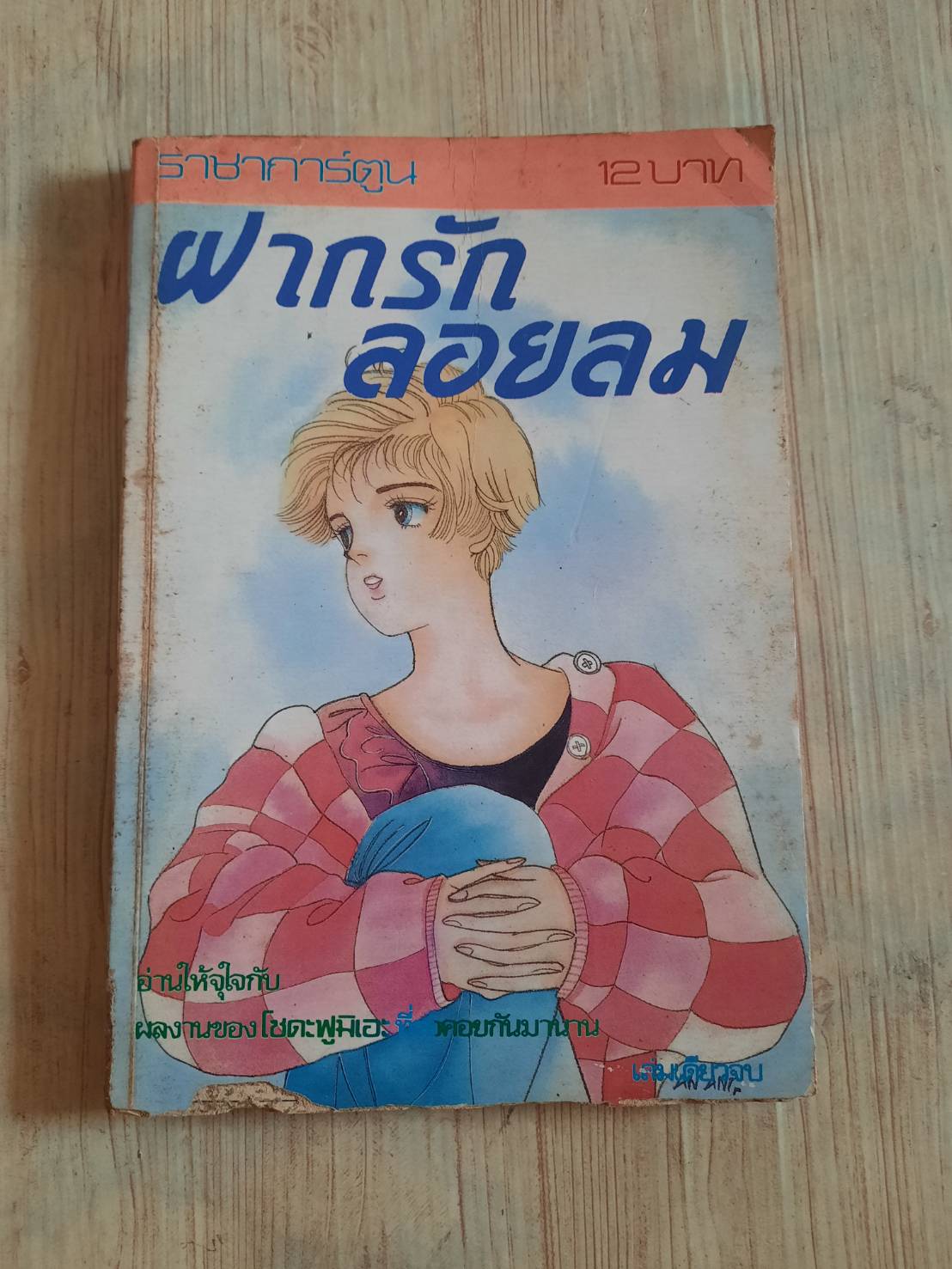 ฝากรักลอยลม เล่มเดียวจบ