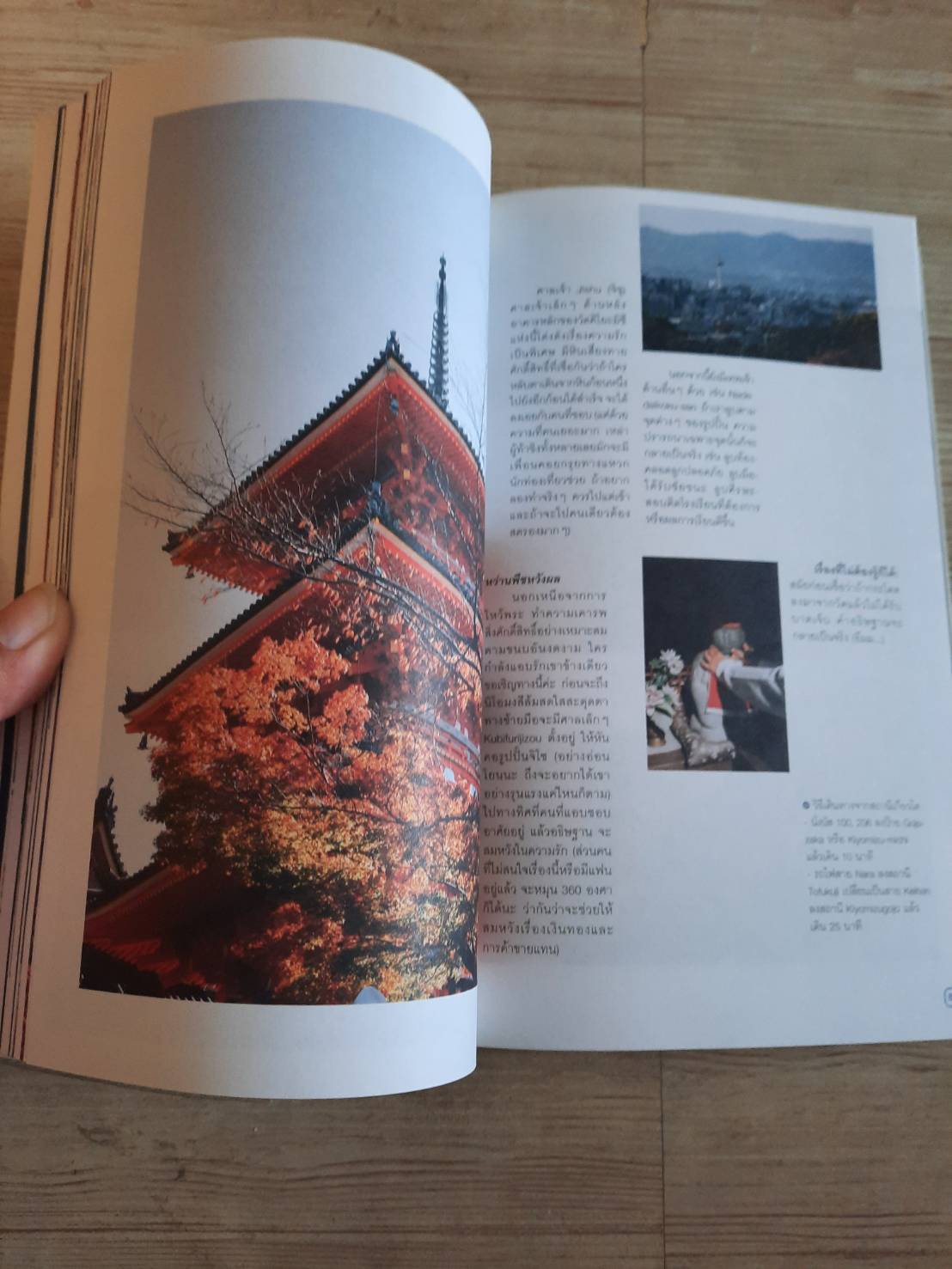 KYOTO SELECTED โดย ณิชมน หิรัญพฤกษ์