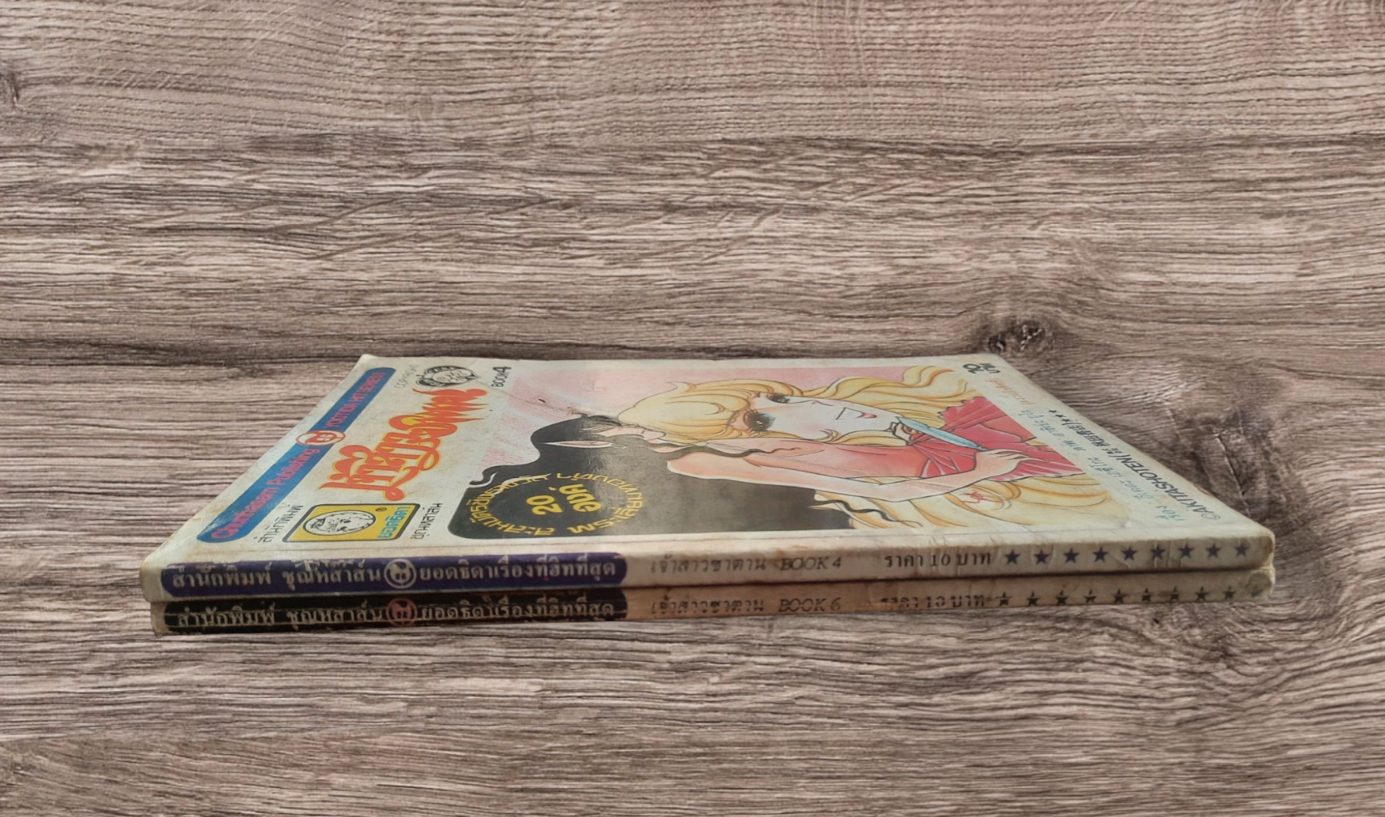 เจ้าสาวซาตาน ชุด เล่ม 4,6