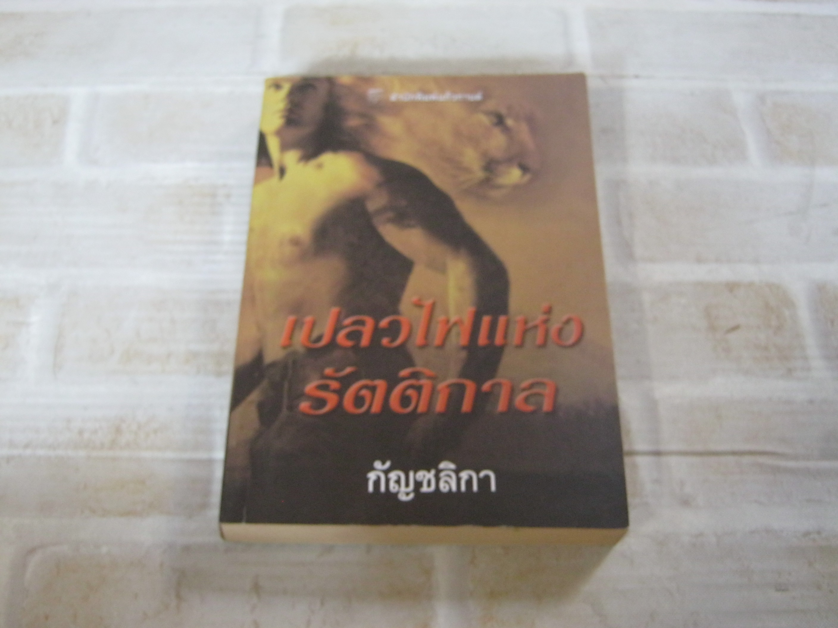 นิยายชุด รัตติกาล ตอน เปลวไฟแห่งรัตติกาล (Into The Flame) คริสติน่า ดอดด์ เขียน กัญชลิกา แปล***สินค้าหมด***
