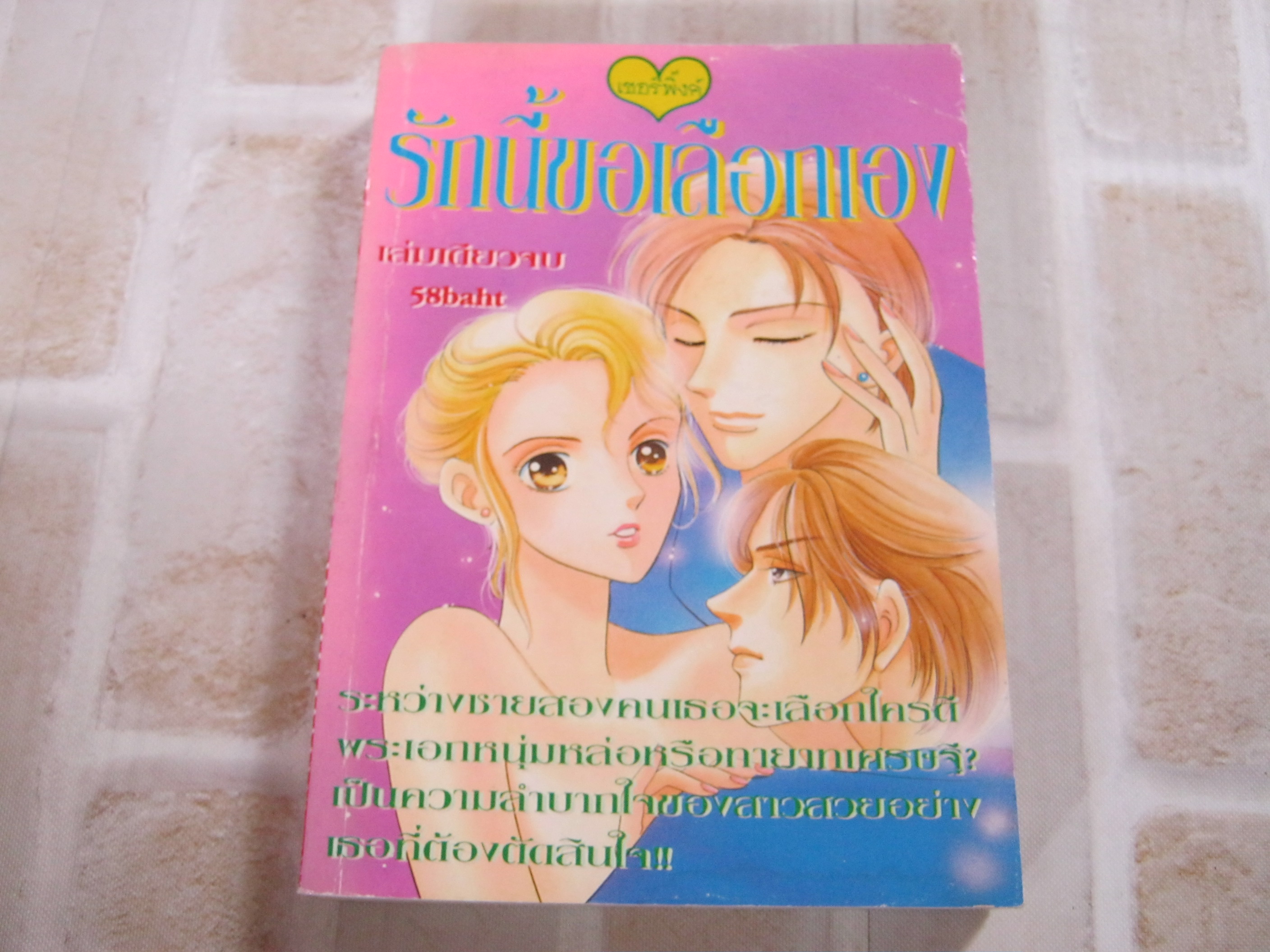 รักนี้ขอเลือกเอง เล่มเดียวจบ