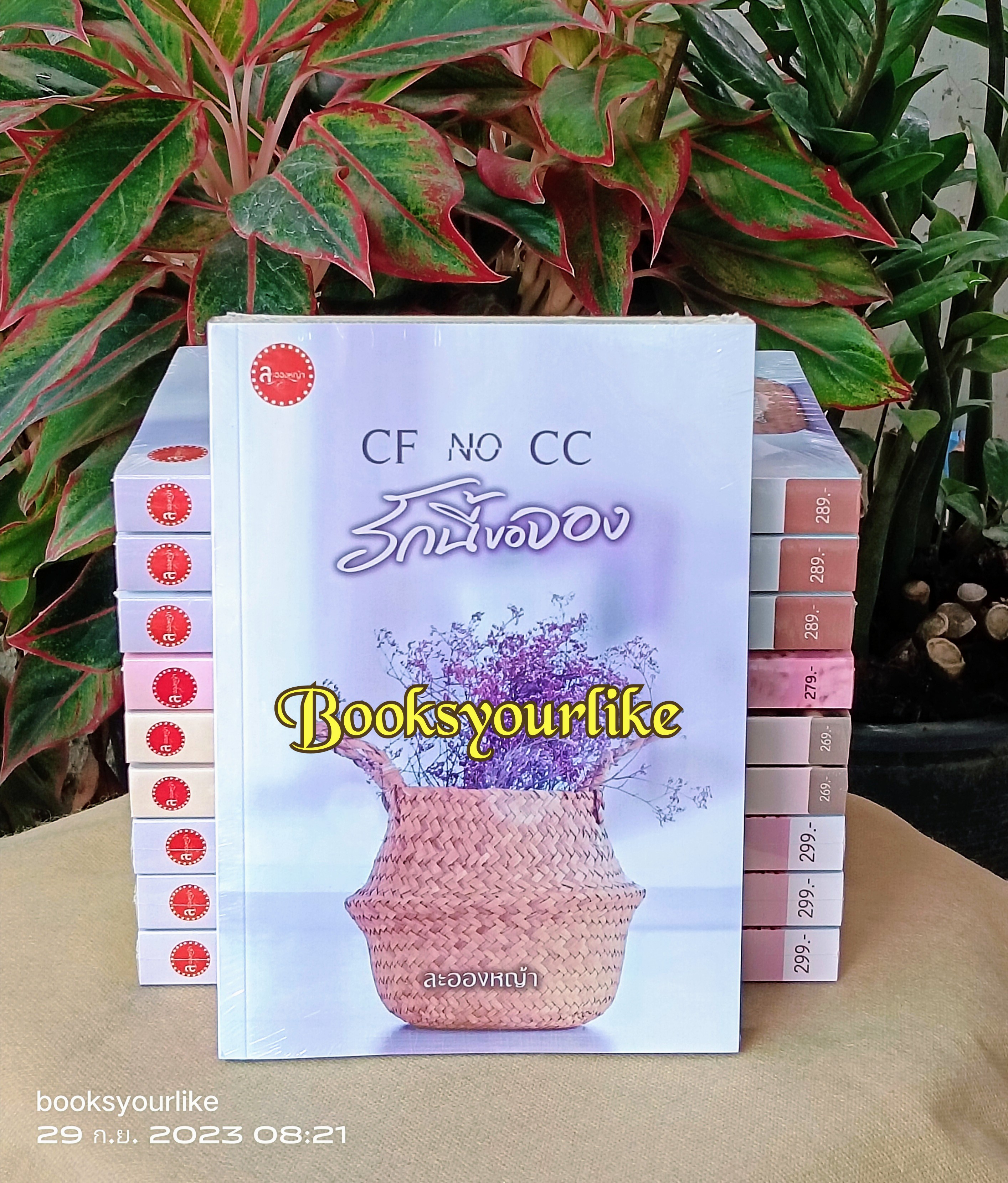 CF No CC รักนี้ขอจอง,ผู้แต่ง,ละอองหญ้า,นิยายรักทำมือ แนะนำค่ะ