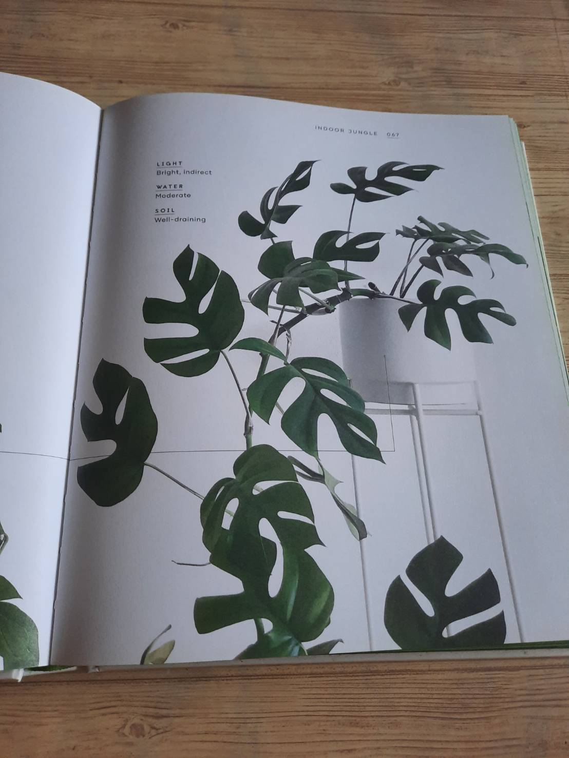 The Leaf Supply Guide to Greating Your Indoor Jungle By Lauren Comilleri + Sophia Kaplan (ปกแข็ง)