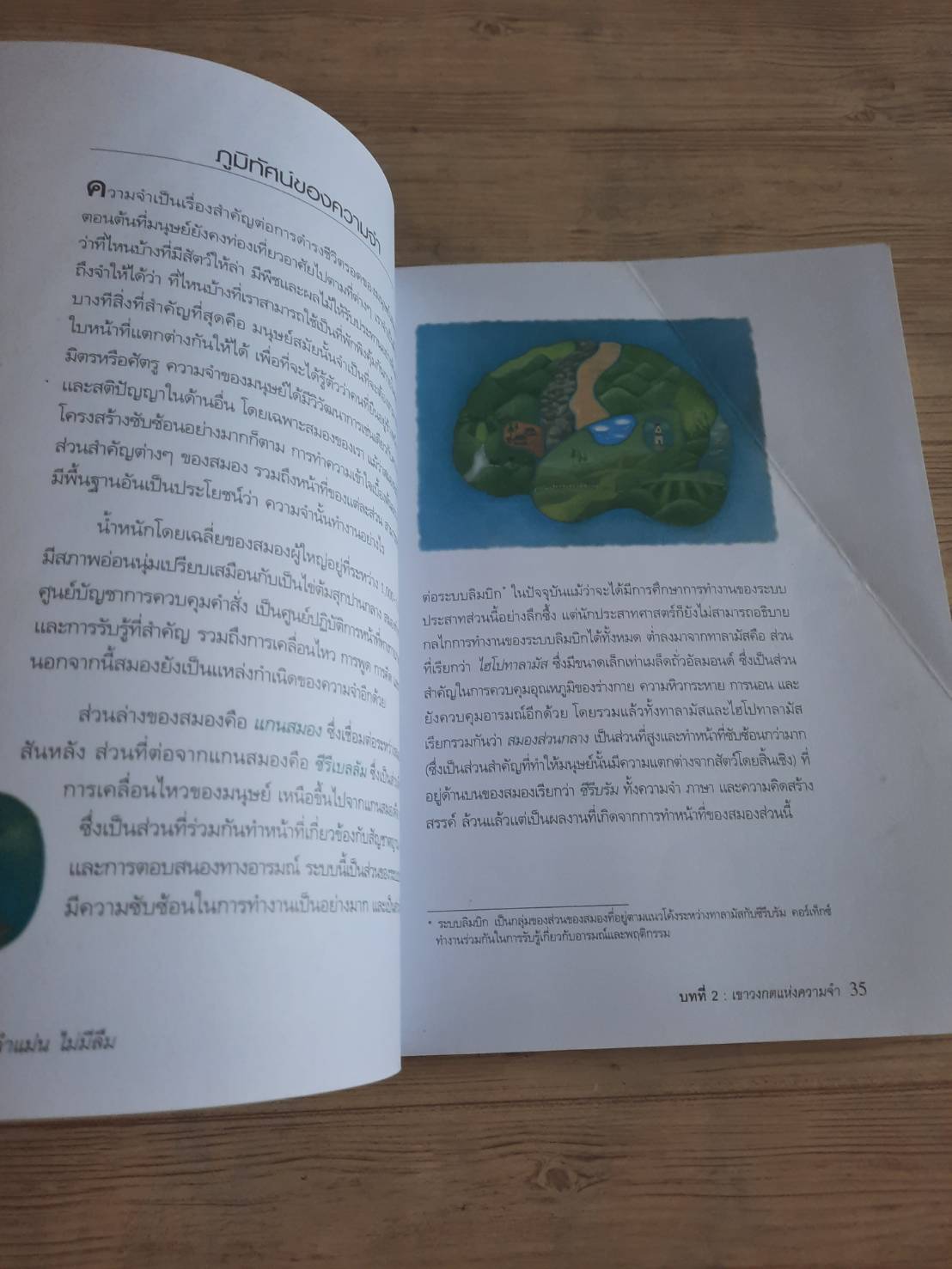 จำแม่น ไม่มีลืม (Learn to Remember) Dominic O'Brien เขียน ปรีดา ยังสุขสถาพร แปลและเรียบเรียง