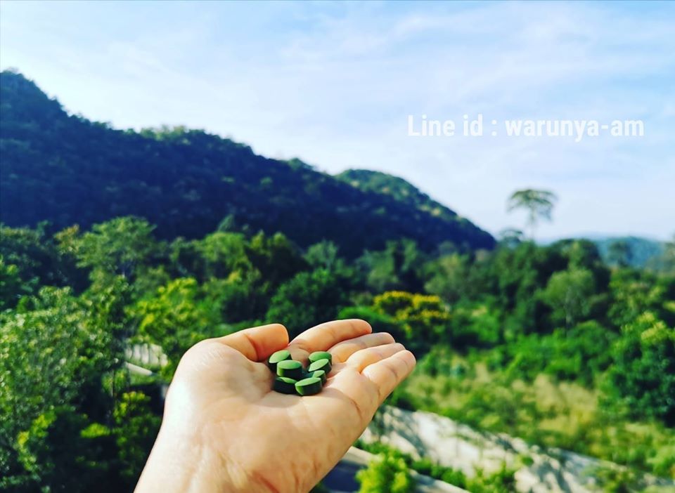 คลอเรลล่า บำรุงสุขภาพ ช่วยสร้างภูมิต้านทานโรค ขับสารพิษ