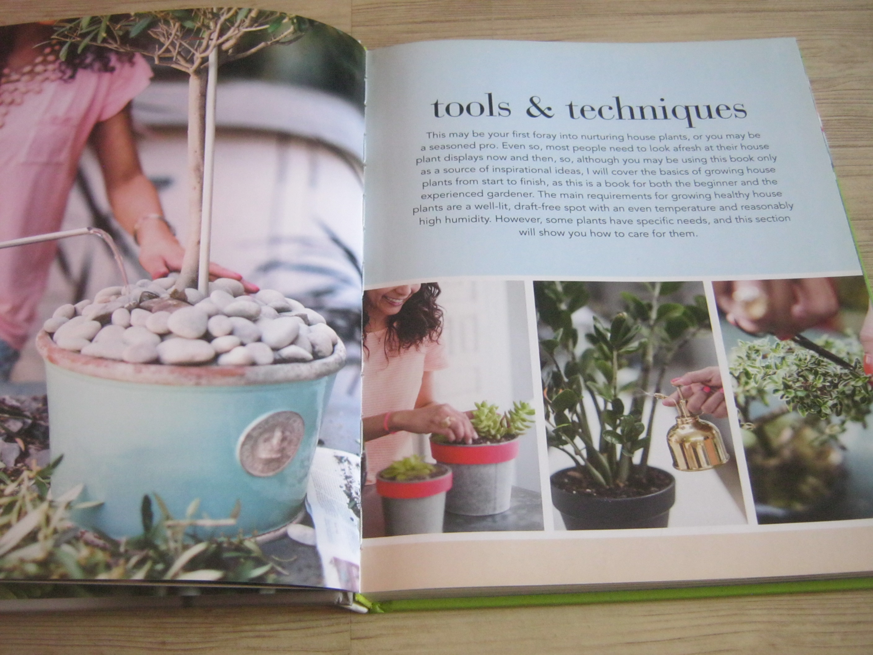 House Plants By Isabelle Palmer