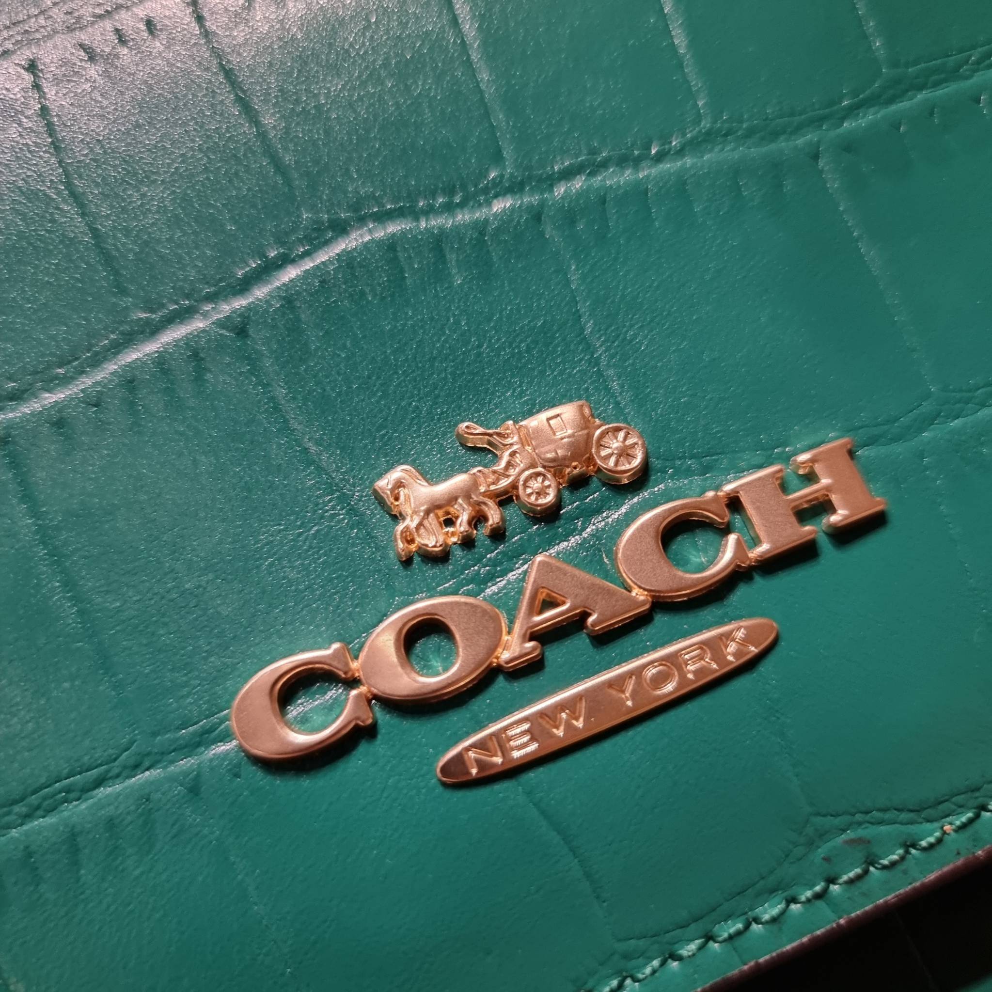 COACH C5631 BRYNN FLAP CROSSBODY แซ่บที่สุด ใหม่ที่สุด!! คอลเลคชั่นใหม่!! มองยังไงก็หลงรักละสายตาไม่ไหว กระเป๋าสะพายข้างลุคไฮน์ ที่ดีไซน์ออกมาได้ปัง และดูแพงมากๆ ด้วยดีเทลคลาสสิค รูปทรงใช้งานง่าย เรียบๆแต่มีดีเทล วัสดุหนังลายจระเข้ สวยม้าก!!! เปิด-ปิดด้วย