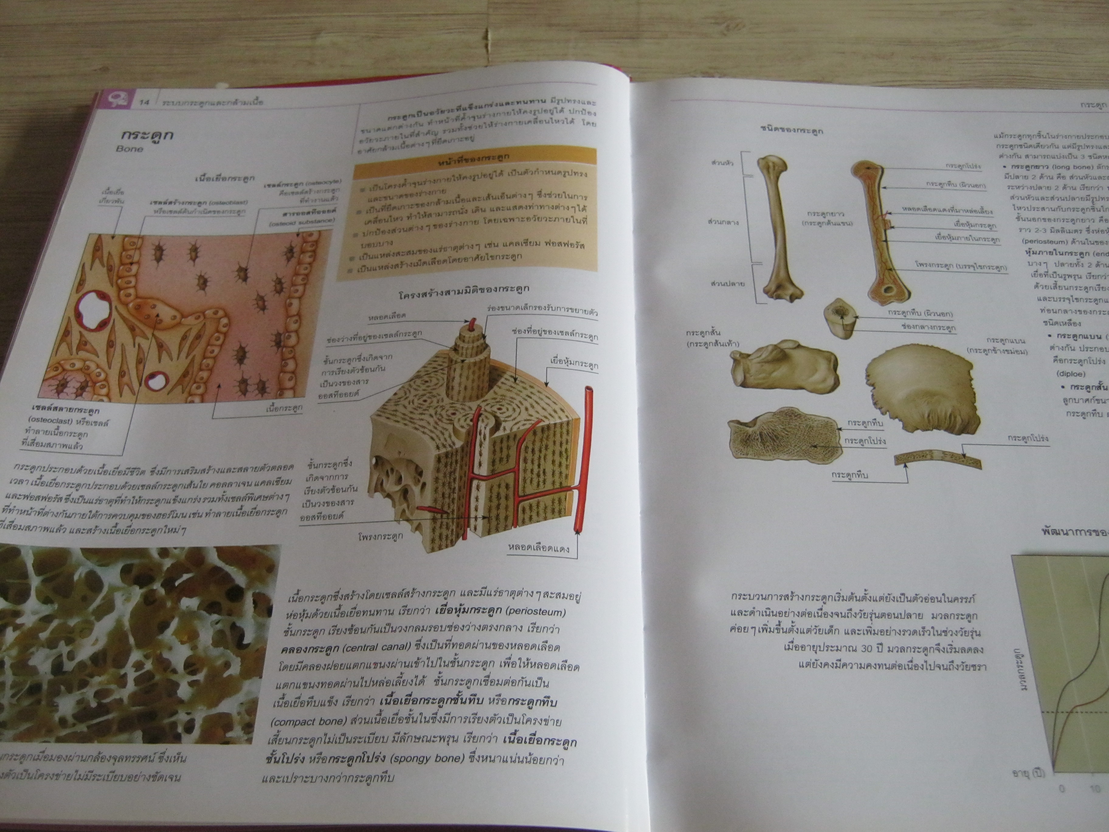 กายวิภาคศาสตร์และสรีรวิทยา (Anatomy and Physiology) Parramon เขียน ภุชงค์ เดชอาคม แปล***สินค้าหมด***