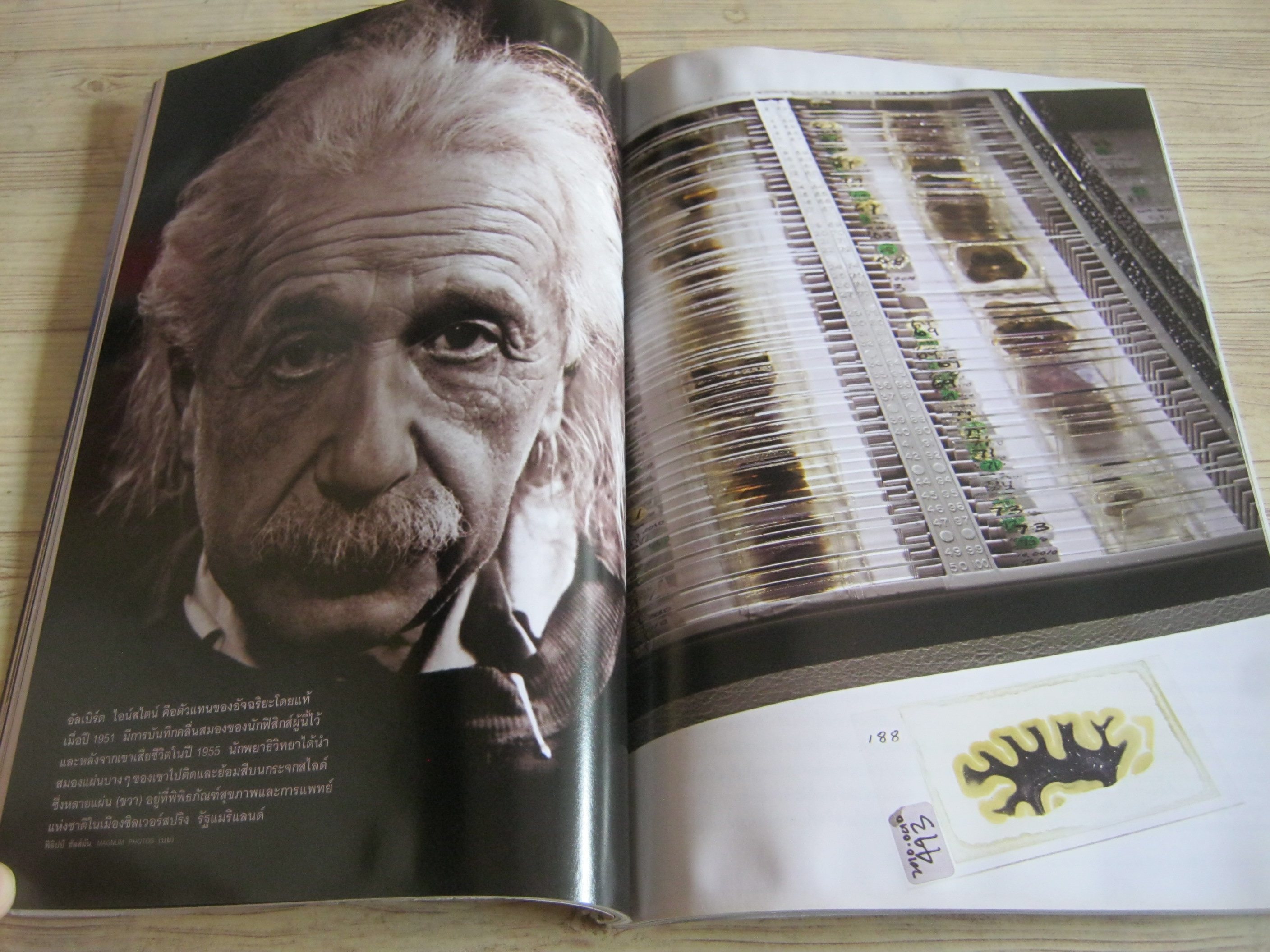 NATIONAL GEOGRAPHIC ฉบับภาษาไทย พฤษภาคม 2560 อเคนาเตน ฟาโรห์ผู้พลิกฟ้าคว่ำดิน