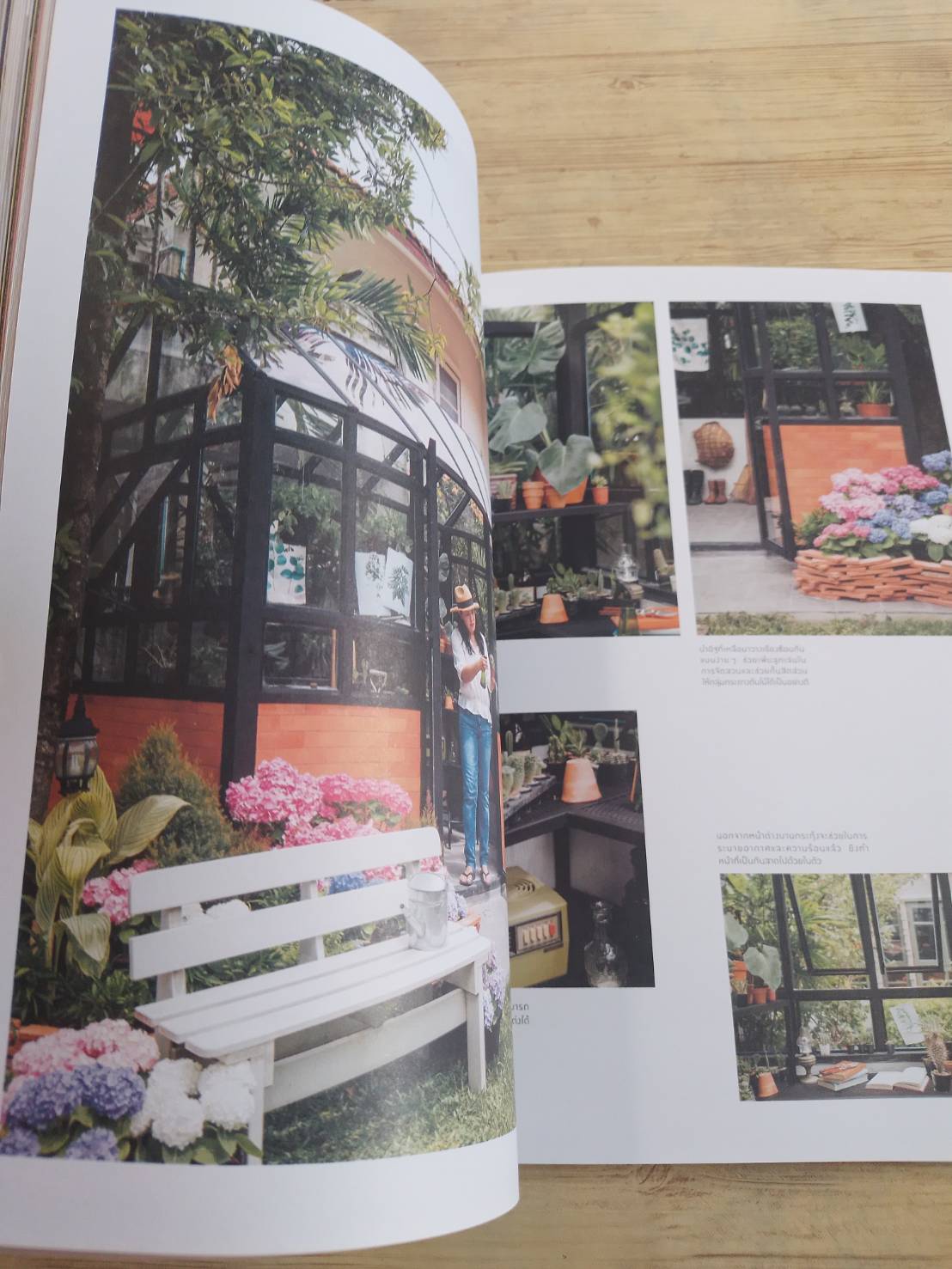 my home ฉบับที่ 99 Oct-Nov 2018 Mini Glasshouse โรงเรือนขนาดเล็กที่ใคร ๆ ก็มีได้