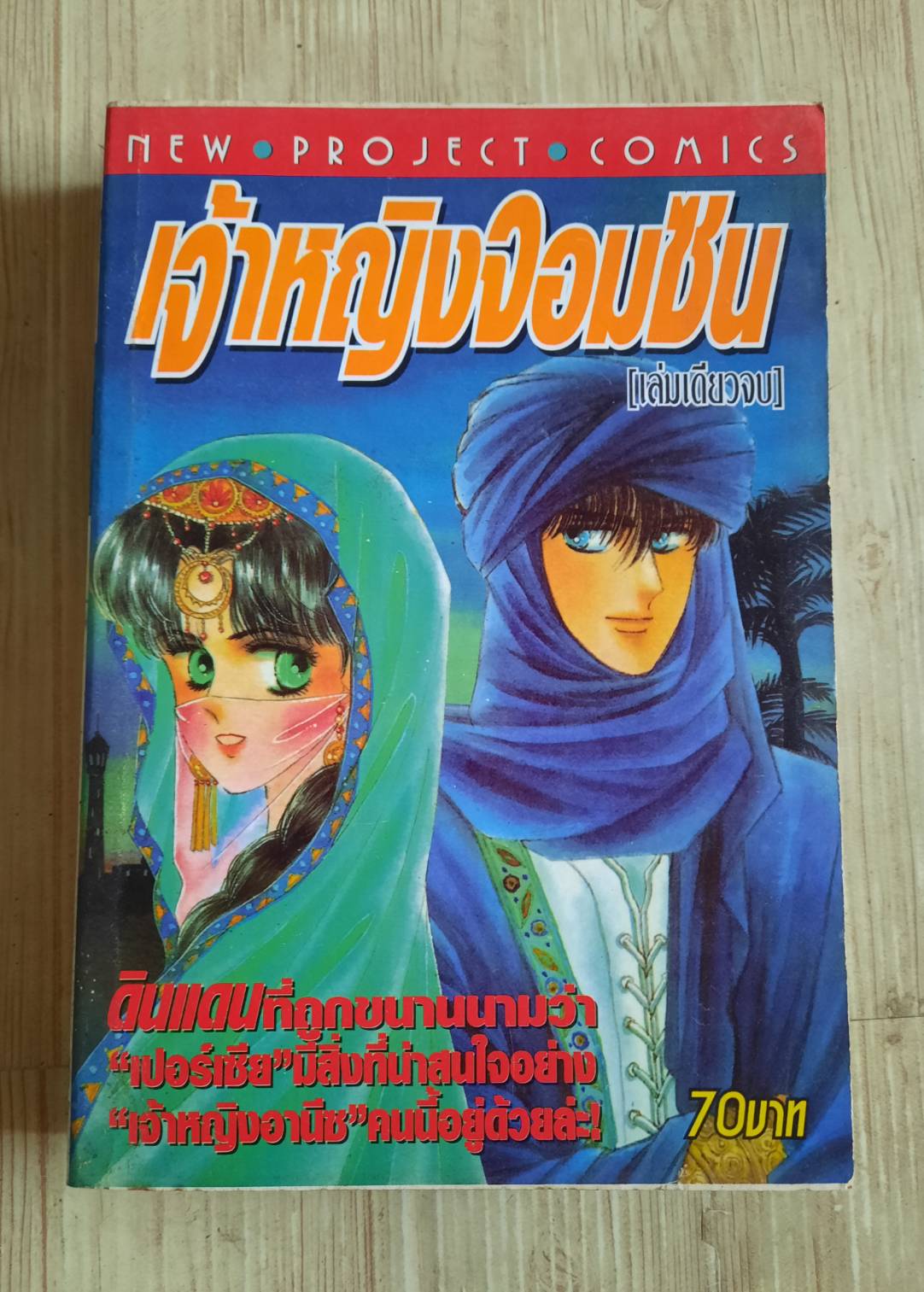 เจ้าหญิงจอมซน เล่มเดียวจบ