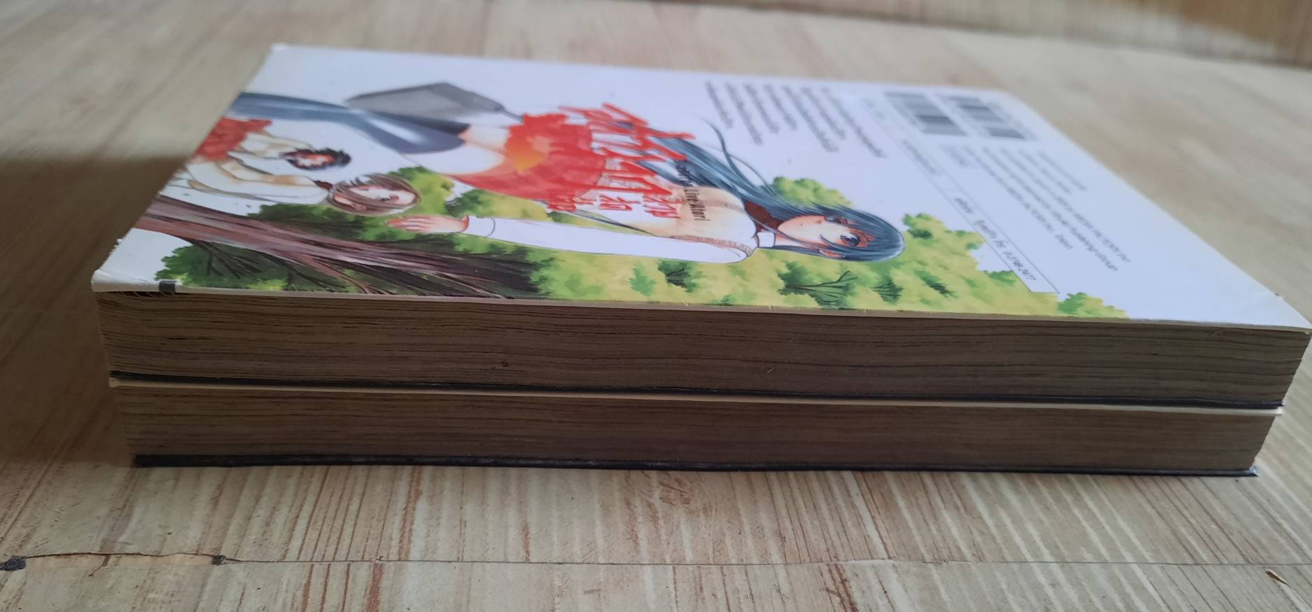 อสูรสาวสวยสุดแสบ ชุด เล่ม 1-2 Takuya Tashiro เขียน