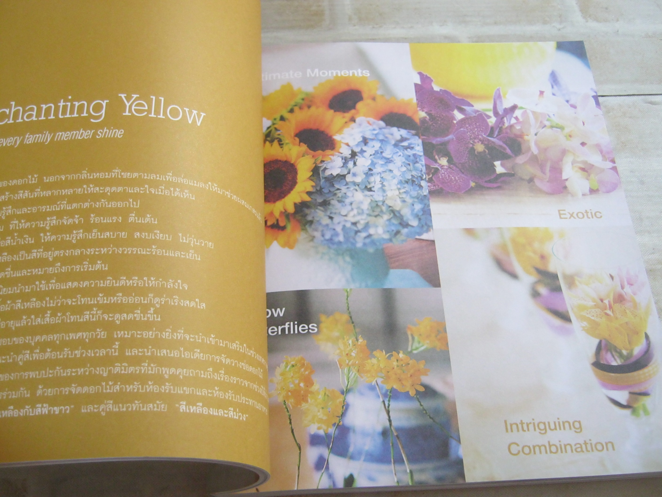 Daily Flowers โดย ปณิธาน ทองสถิตย์