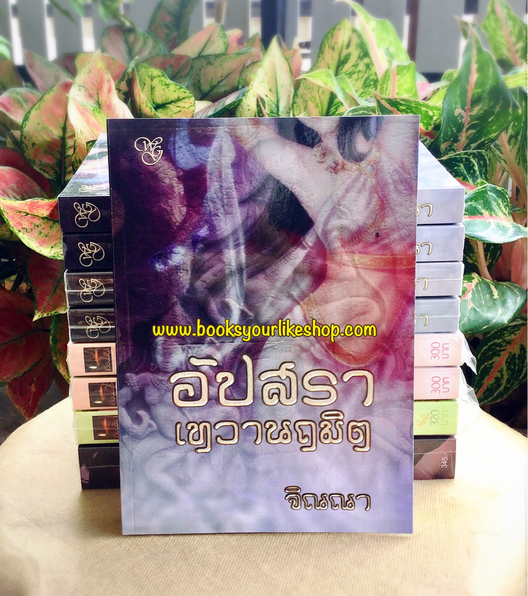 อัปสราเทวานฤมิตร , จิณณา ,นิยายทำมือ,สนุกคะ มือสอง สภาพดี